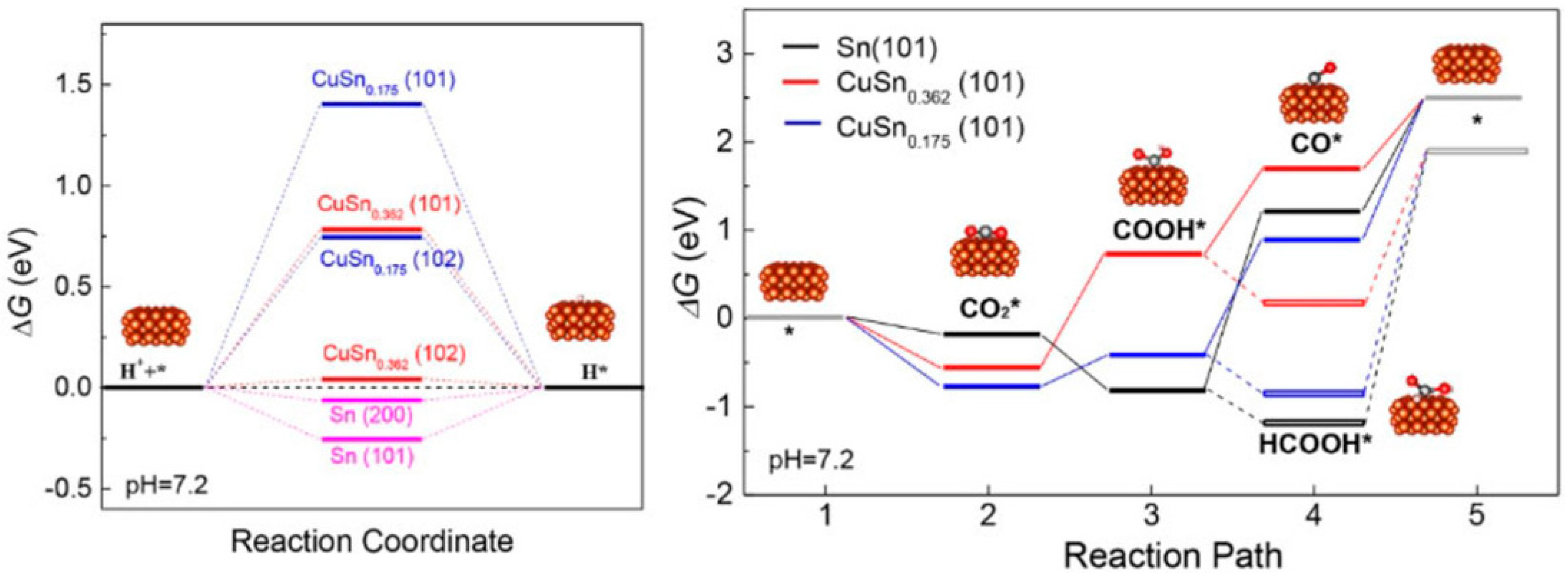 Molecules 26 00572 g010 Molecules 26 00572 g010