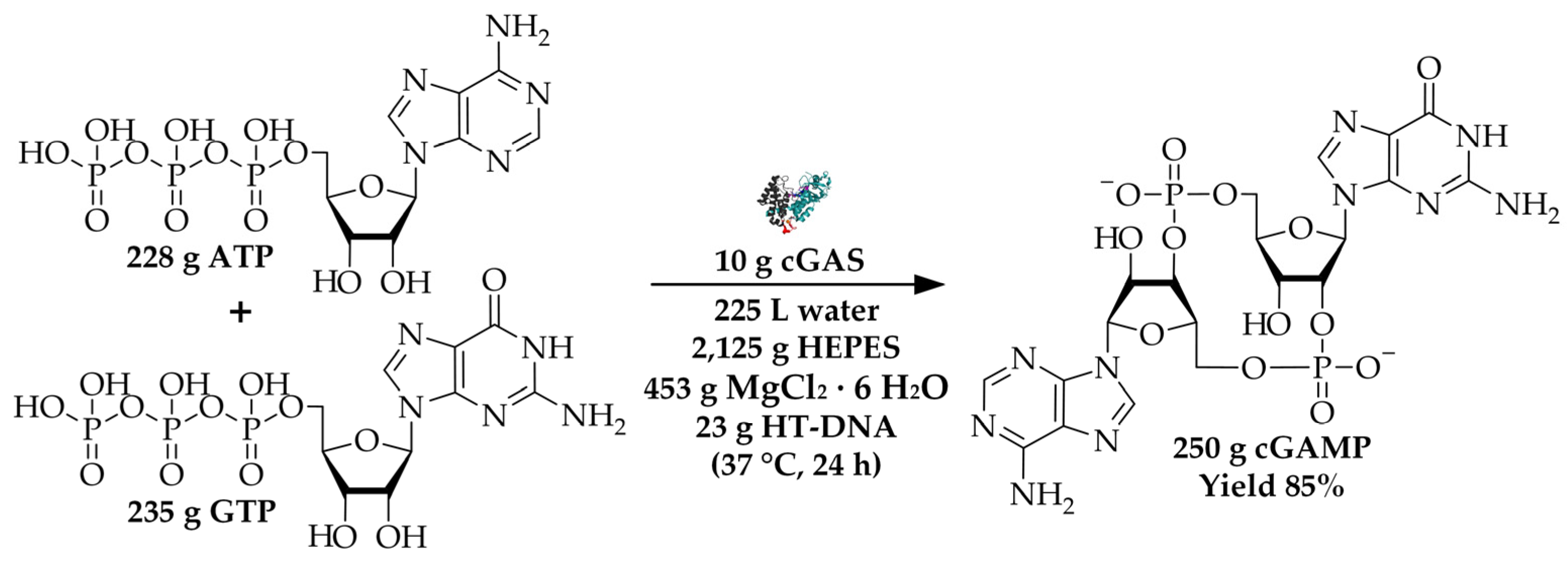 Molecules 26 00573 g001 Molecules 26 00573 g001
