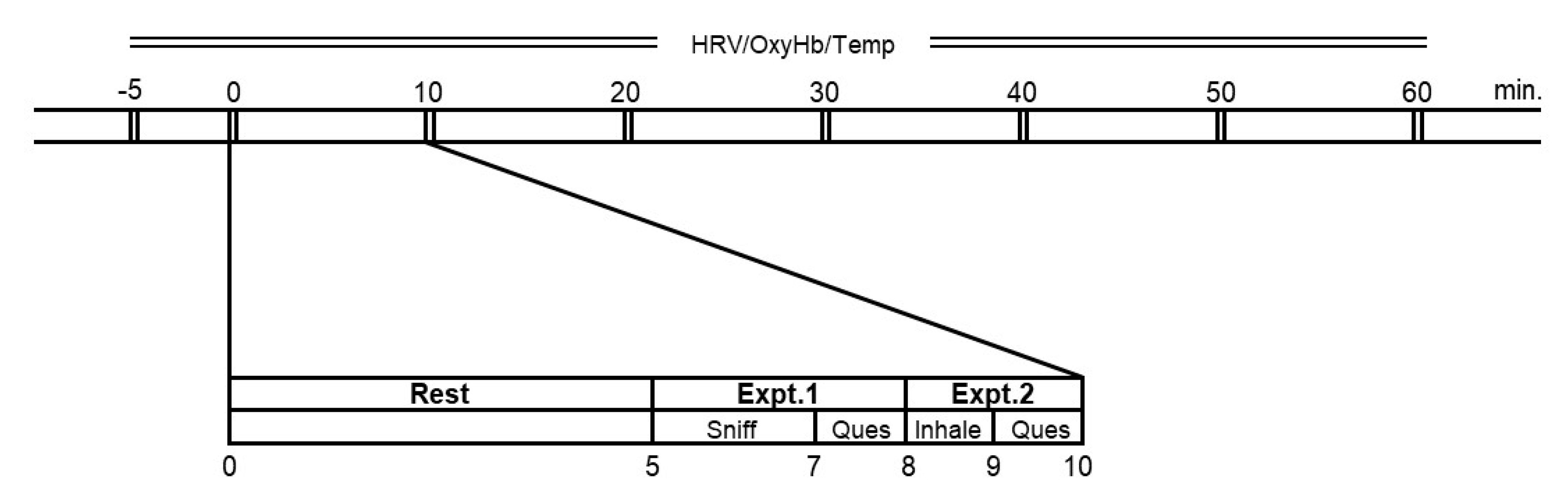 Molecules 26 00575 g004