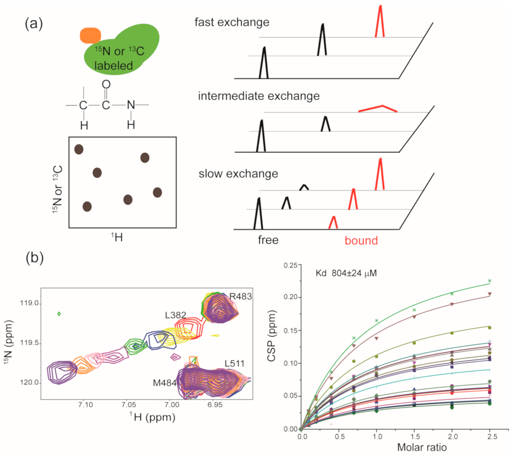 Molecules 26 00576 g003 Molecules 26 00576 g003