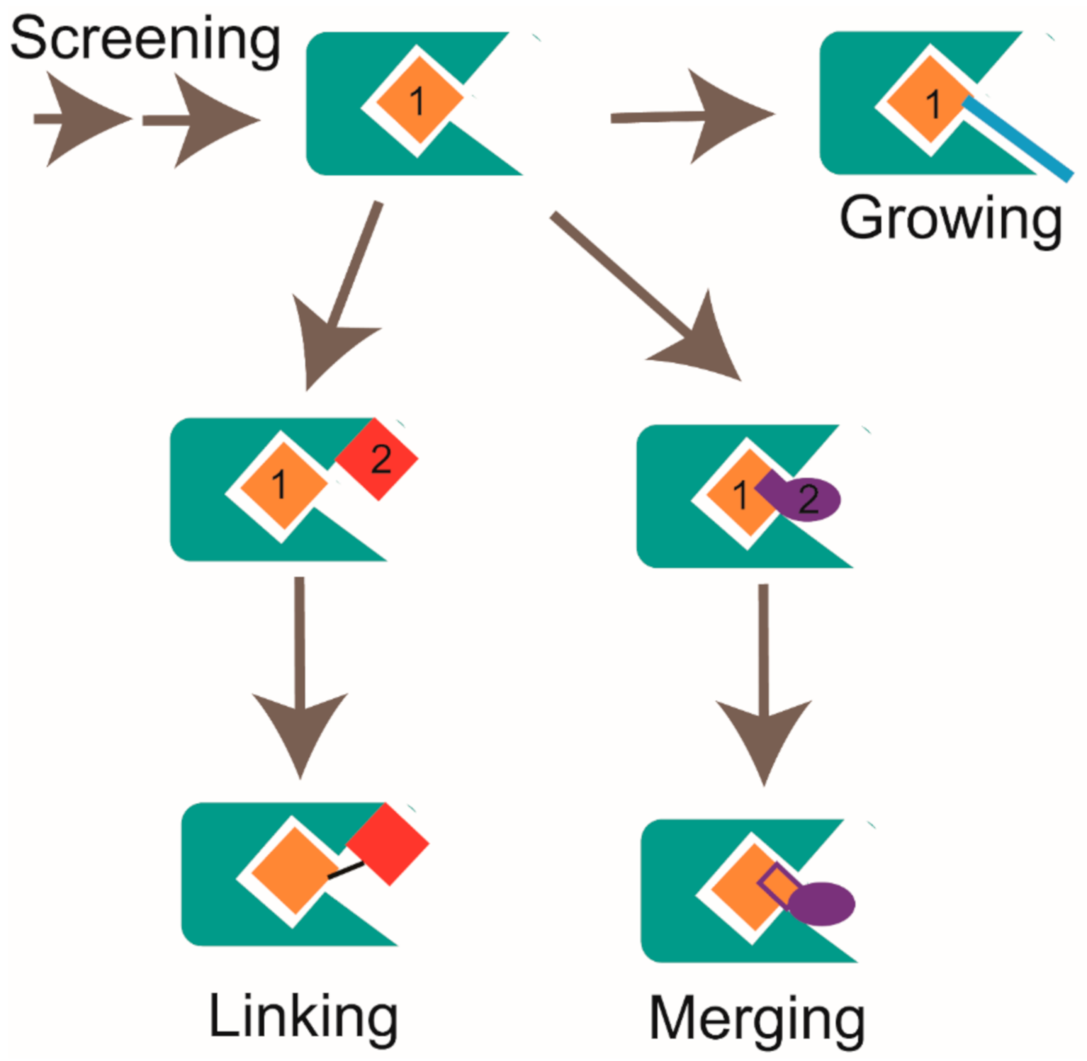 Molecules 26 00576 g004 Molecules 26 00576 g004