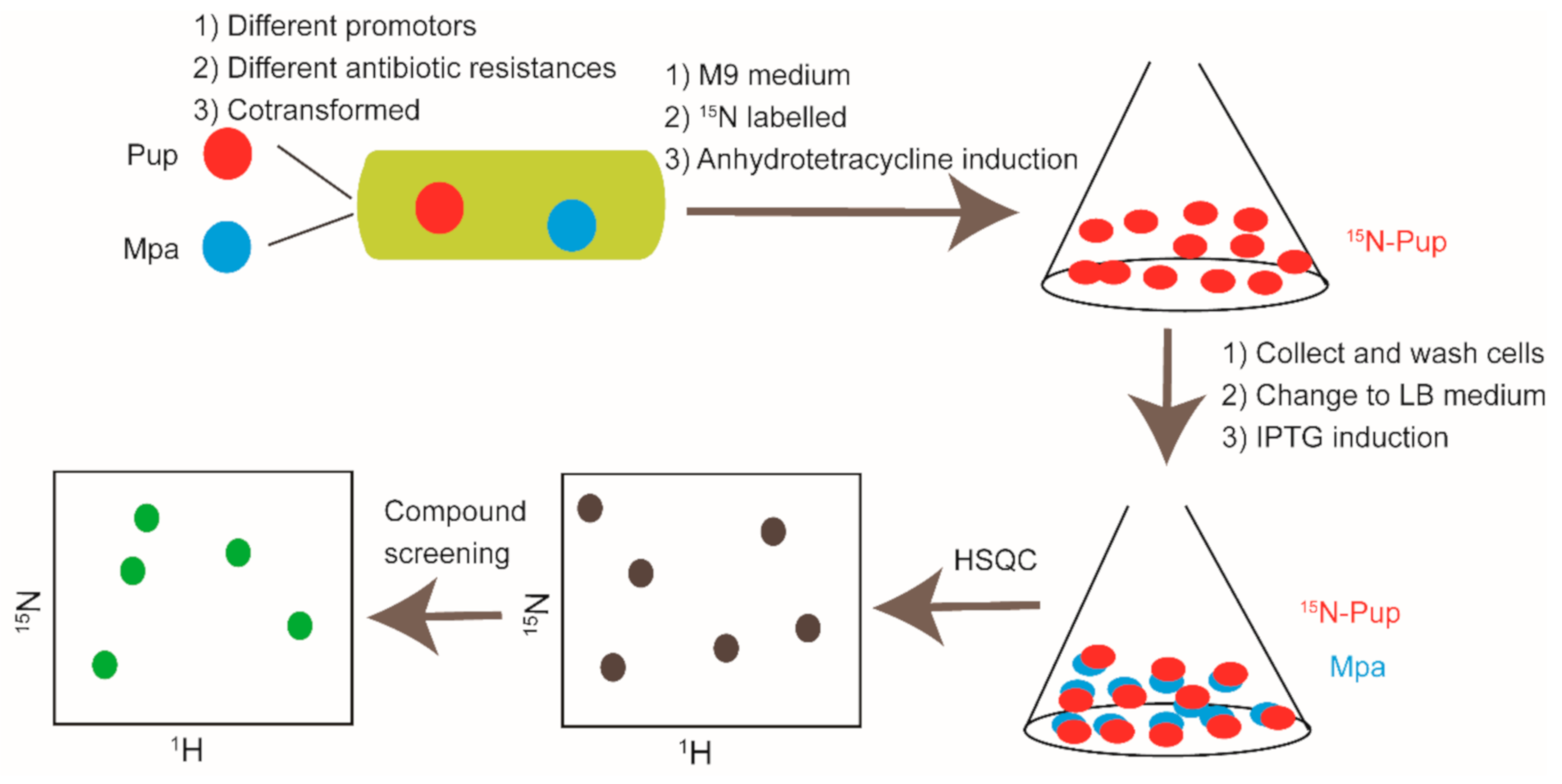 Molecules 26 00576 g007 Molecules 26 00576 g007