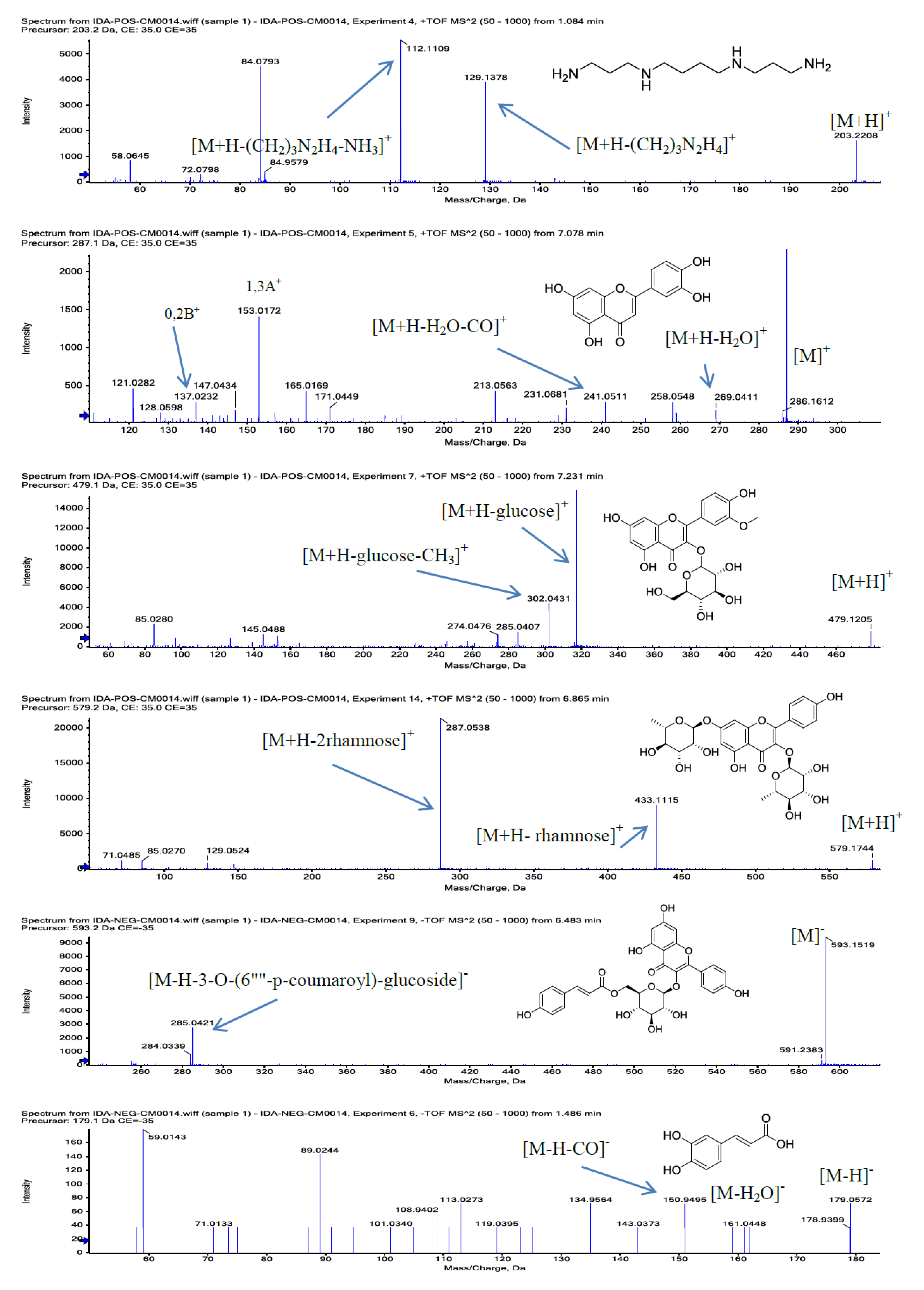 Molecules 26 00577 g001a