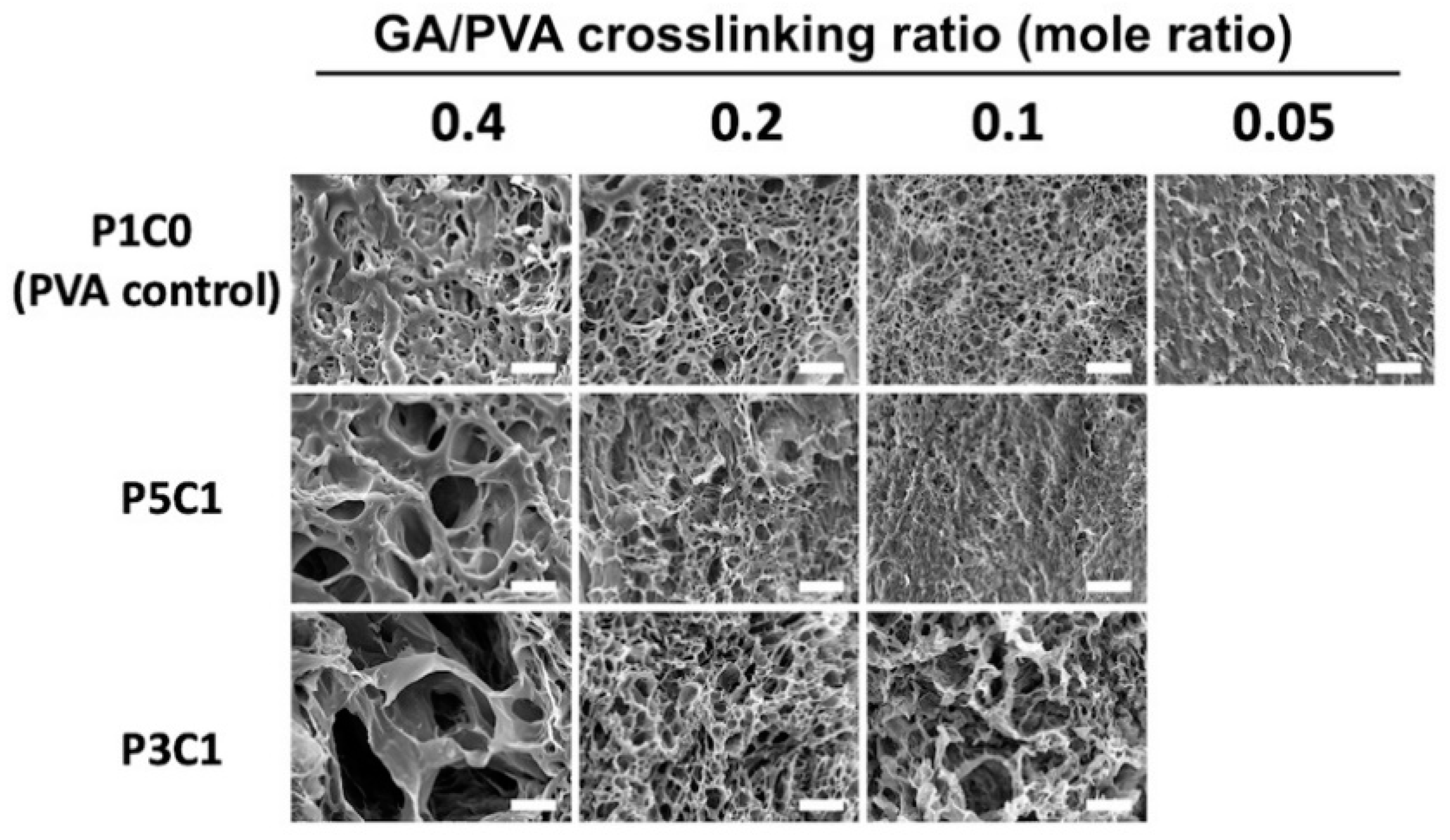 Molecules 26 00578 g004
