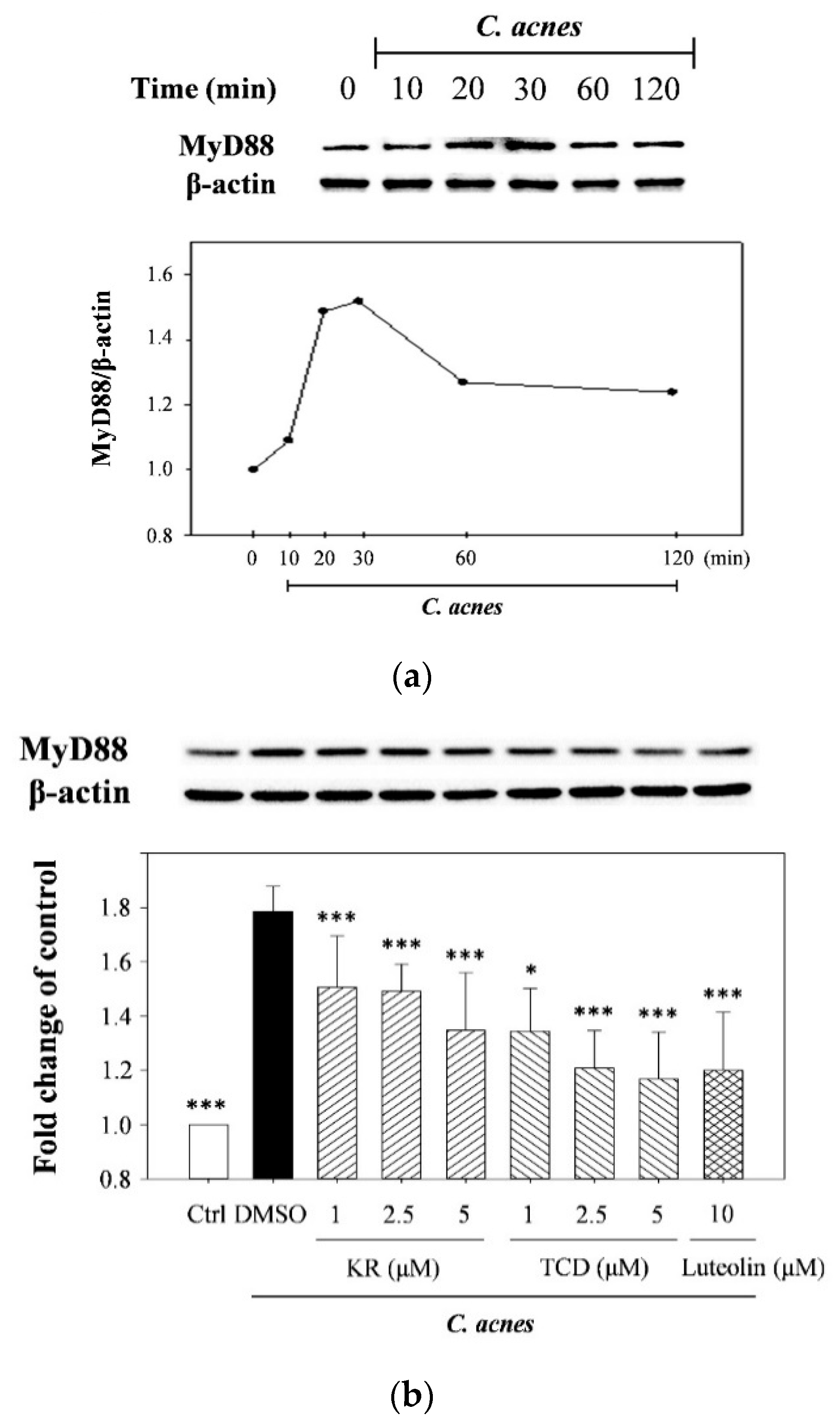 Molecules 26 00579 g003a Molecules 26 00579 g003a