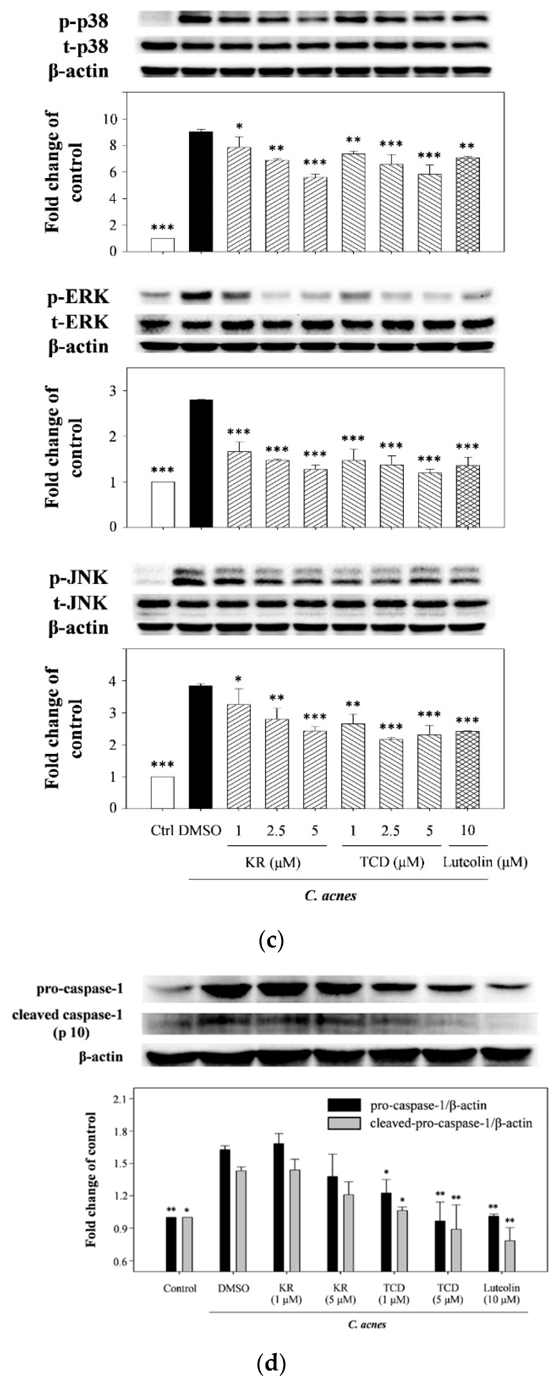 Molecules 26 00579 g003b Molecules 26 00579 g003b