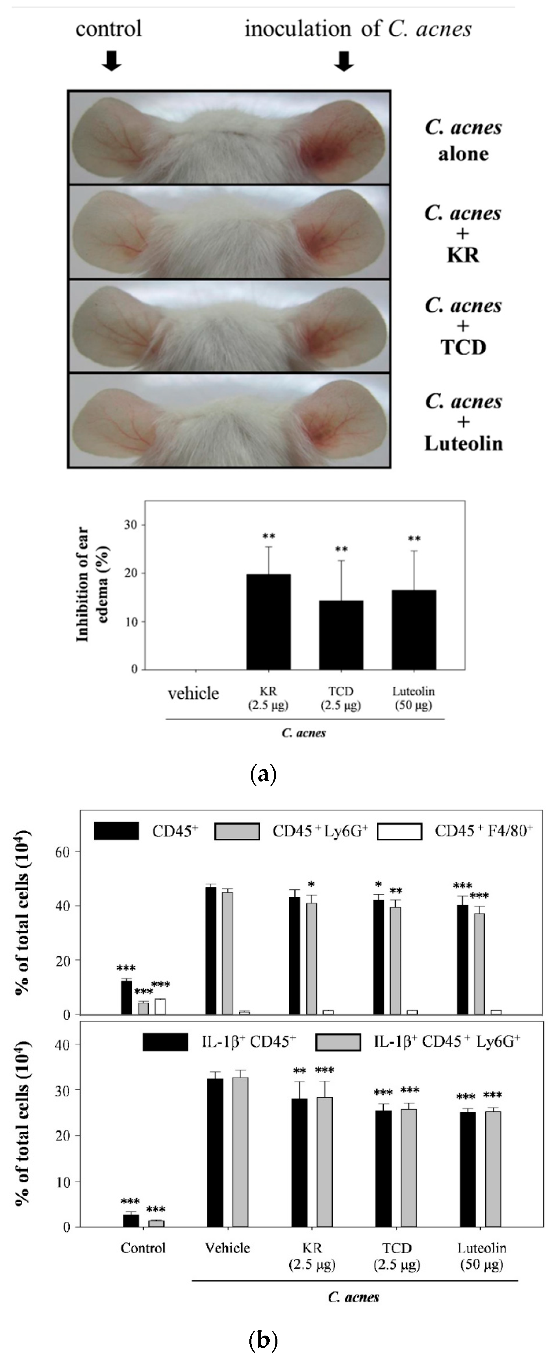 Molecules 26 00579 g004a Molecules 26 00579 g004a
