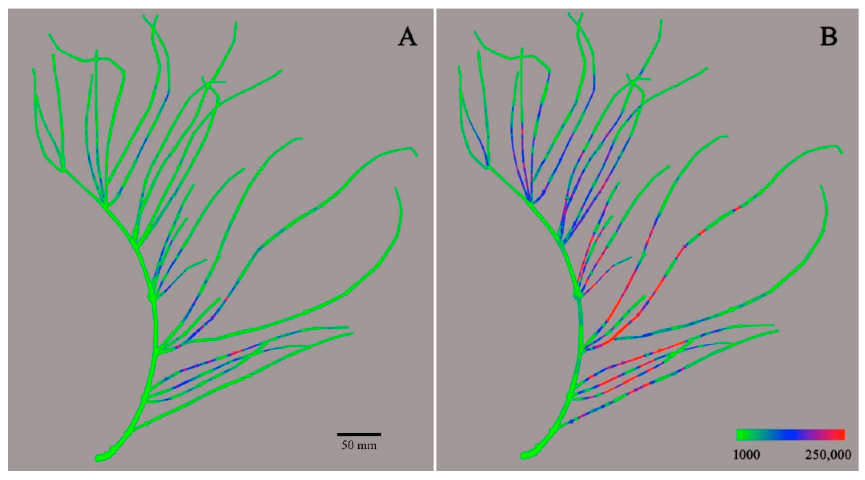 Molecules 26 00580 g004