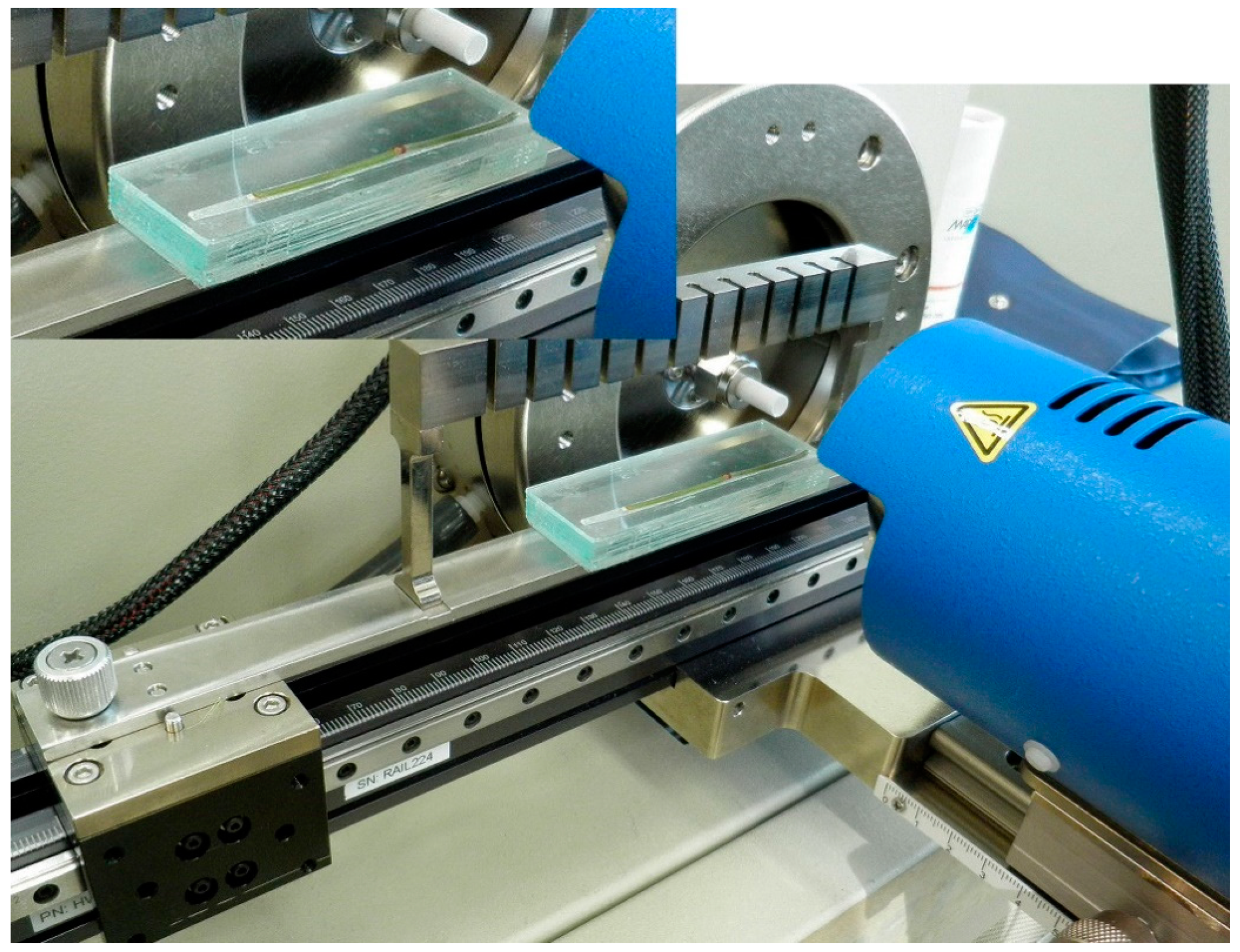 Molecules 26 00580 g005