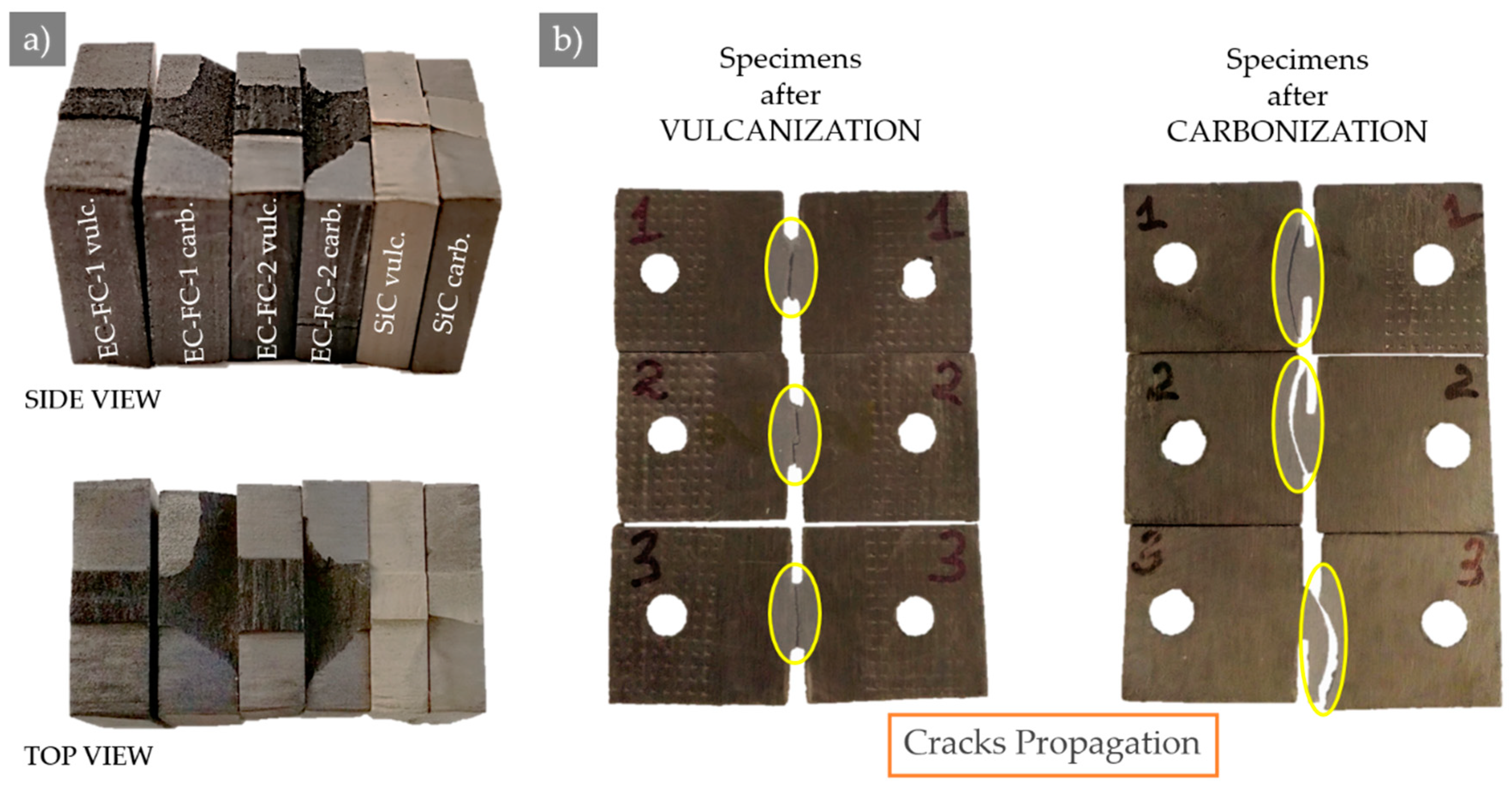 Molecules 26 00587 g003