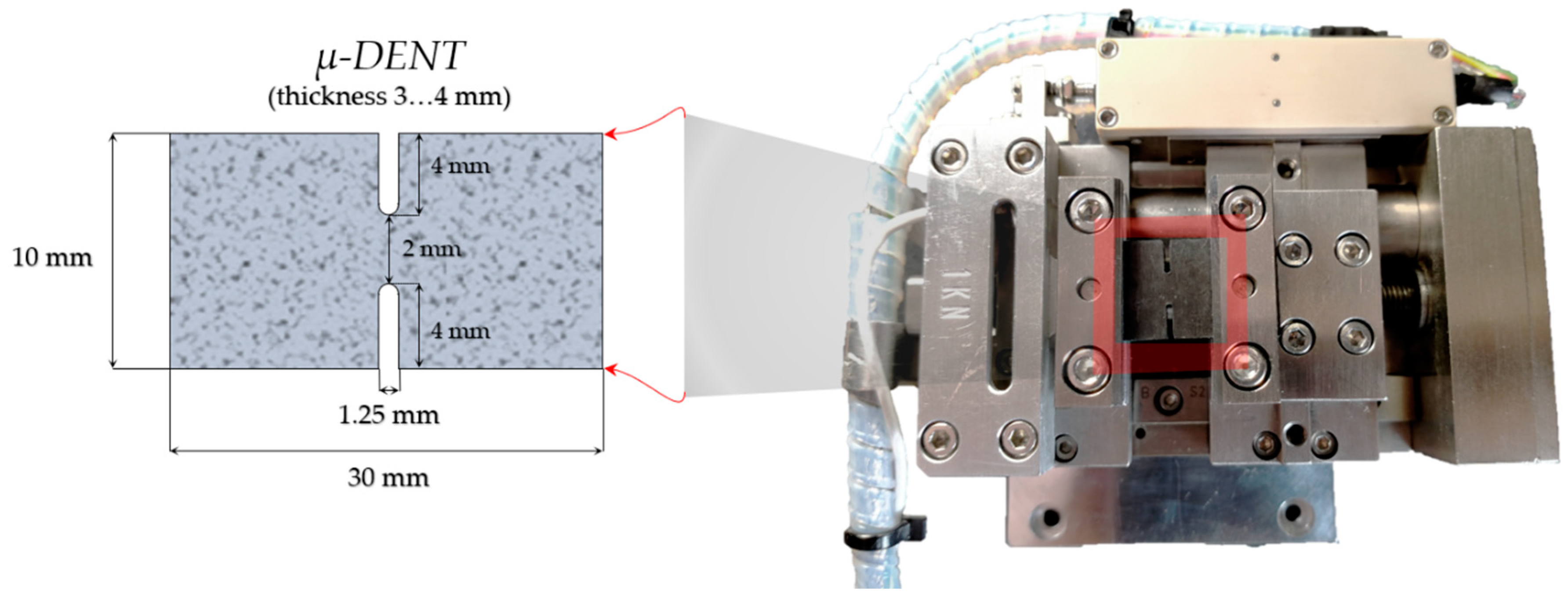 Molecules 26 00587 g010