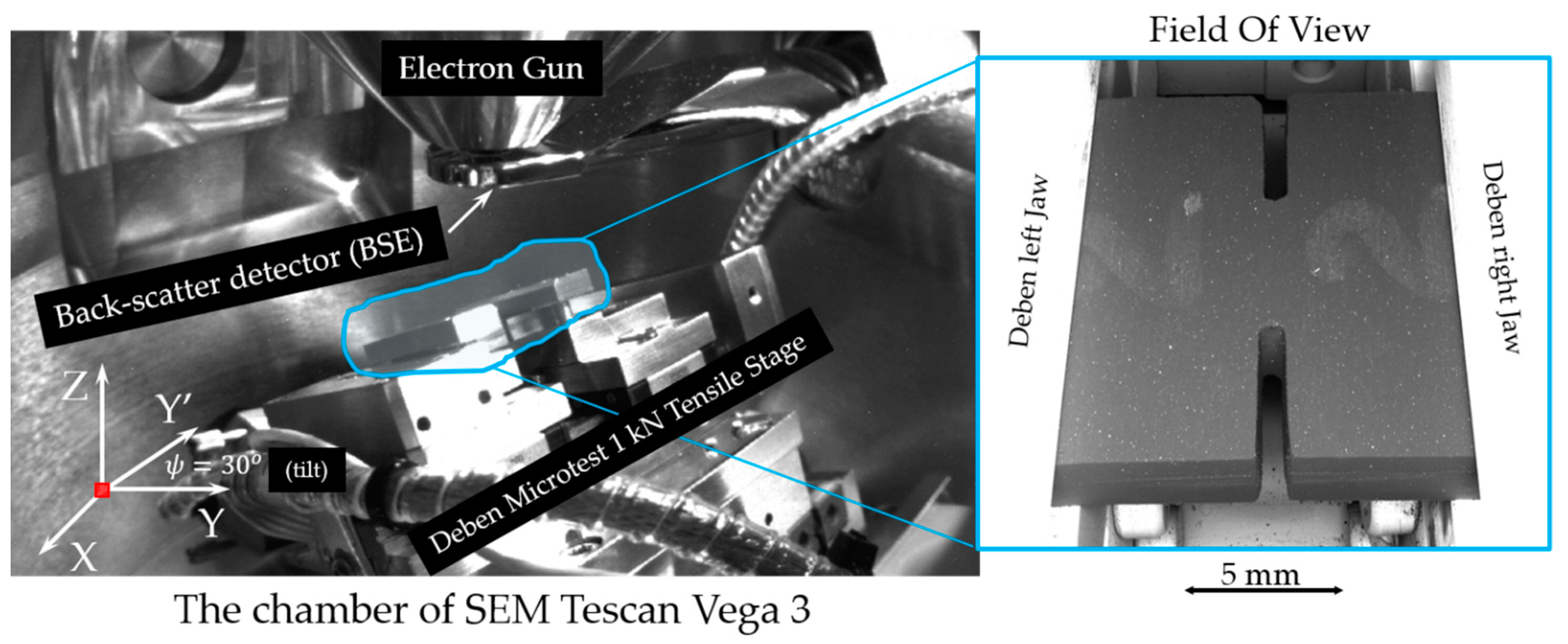Molecules 26 00587 g011