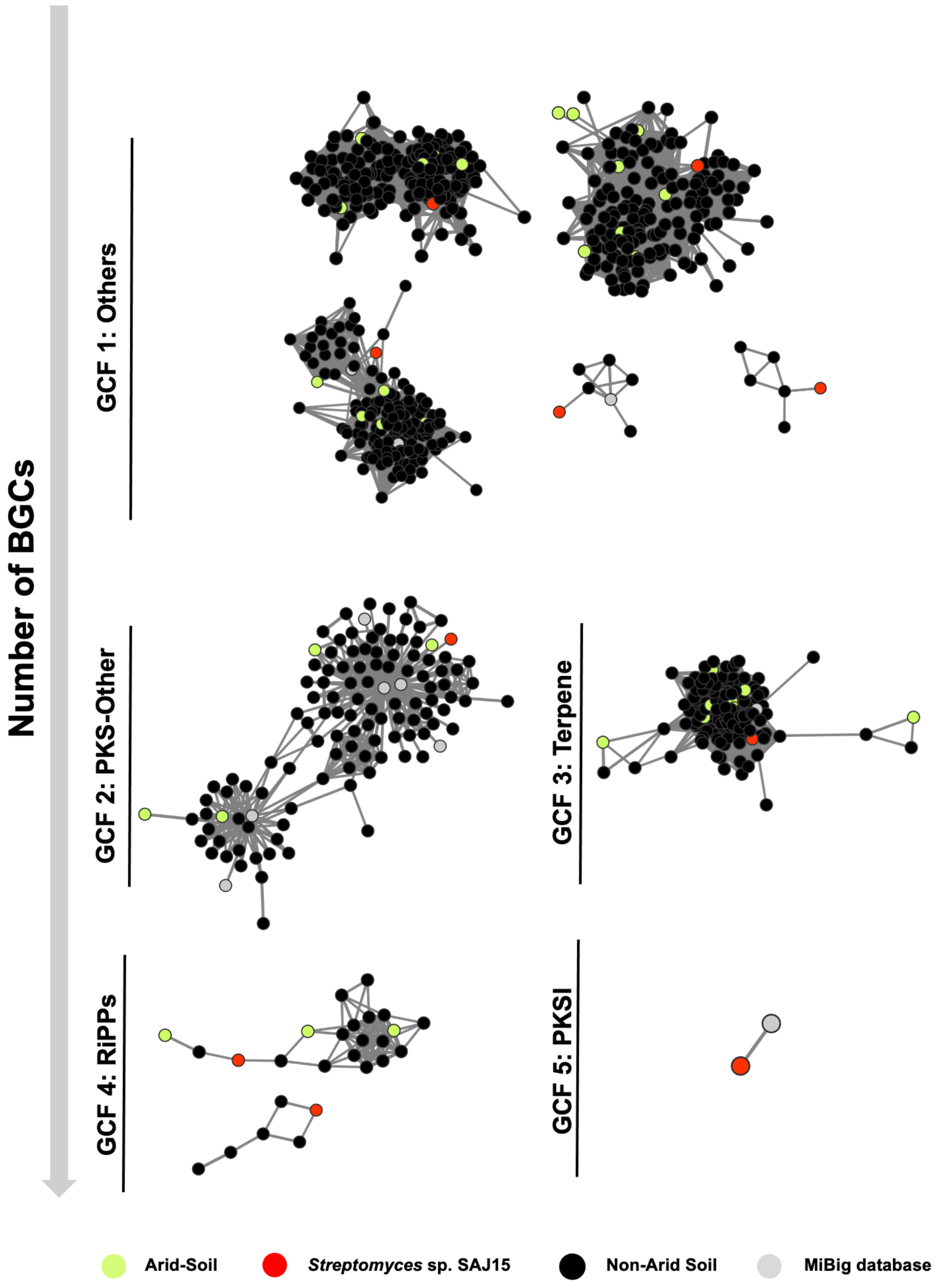 Molecules 26 00588 g002