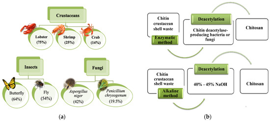 Magnetic Nanocomposites Containing Low and Medium-Molecular Weight Chitosan  for Dye Adsorption: Hydrophilic Property Versus Functional Groups