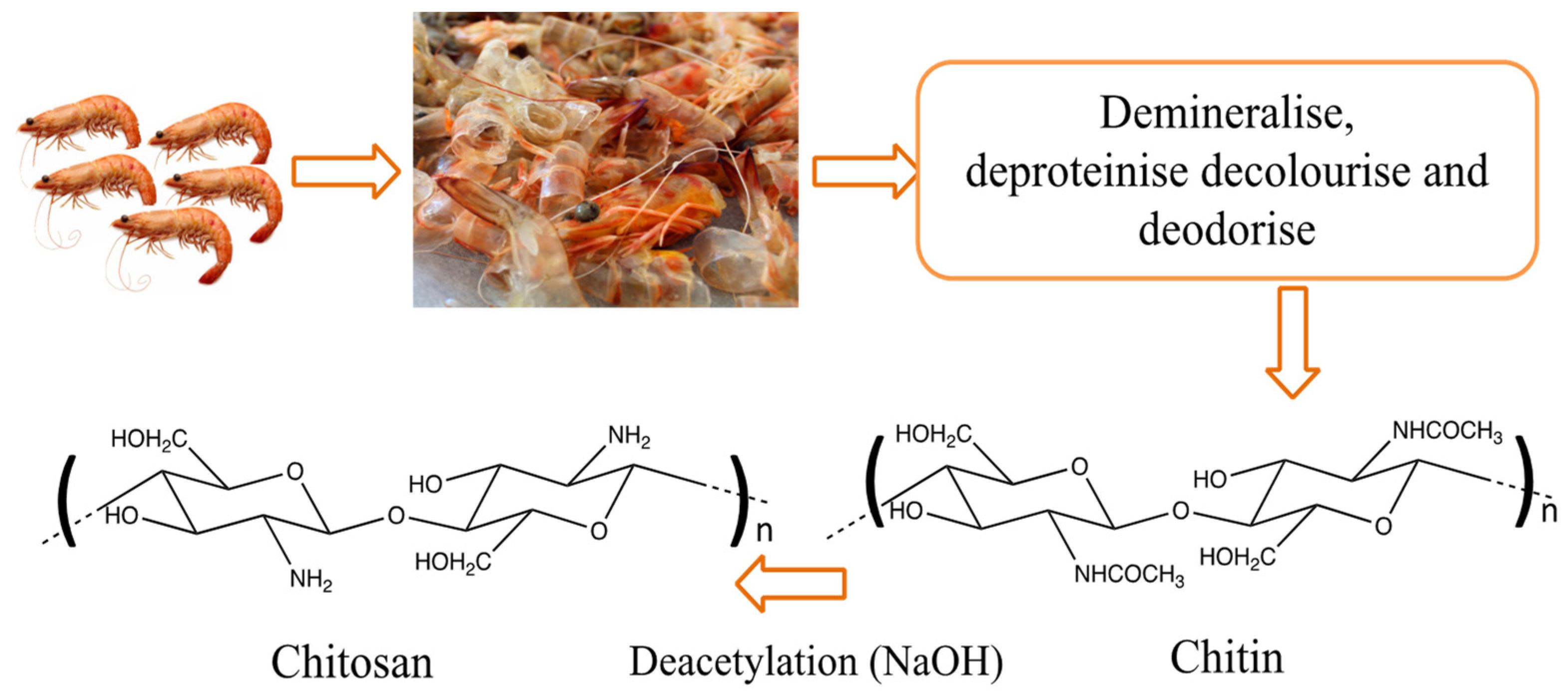 Molecules 26 00594 g002 Molecules 26 00594 g002