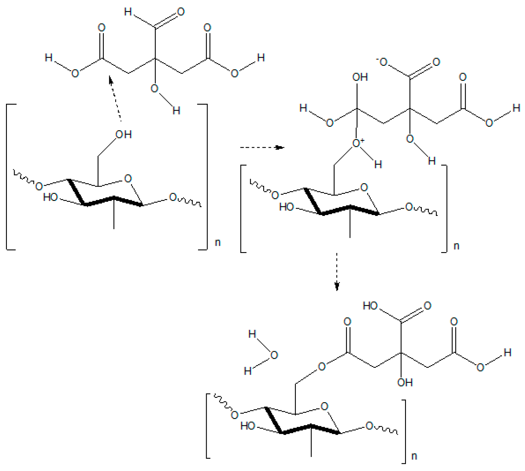 Molecules 26 00596 sch001