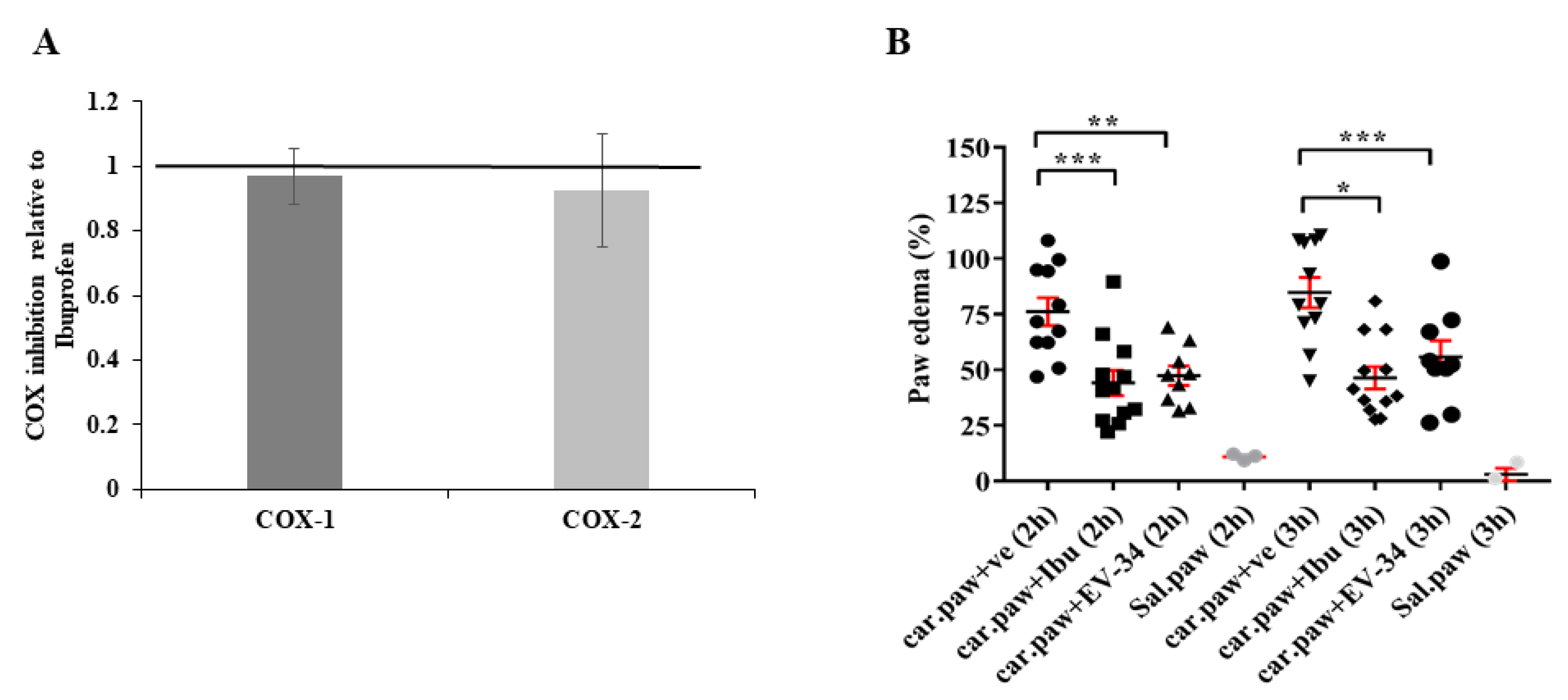 Molecules 26 00599 g006