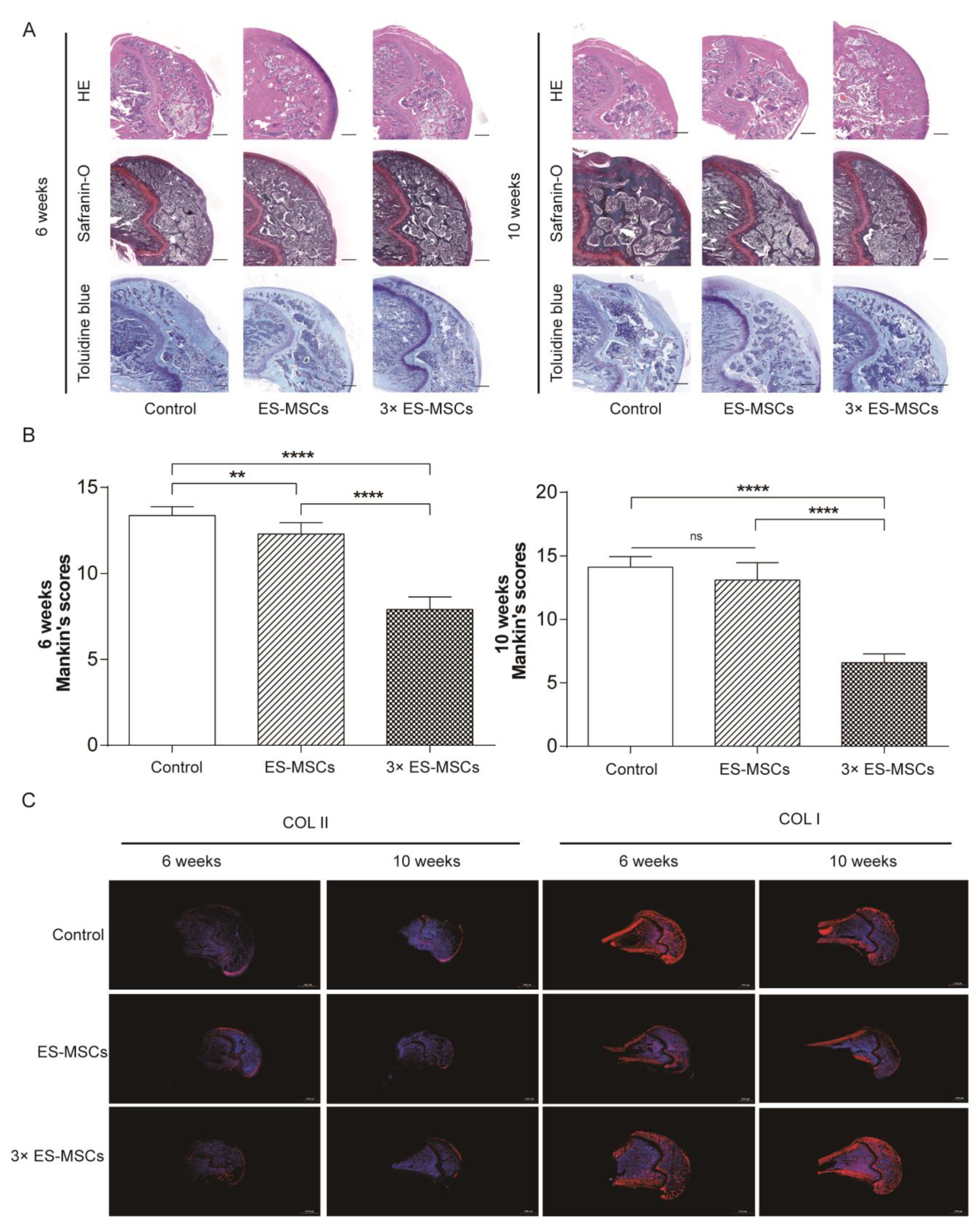 Molecules 26 00604 g004