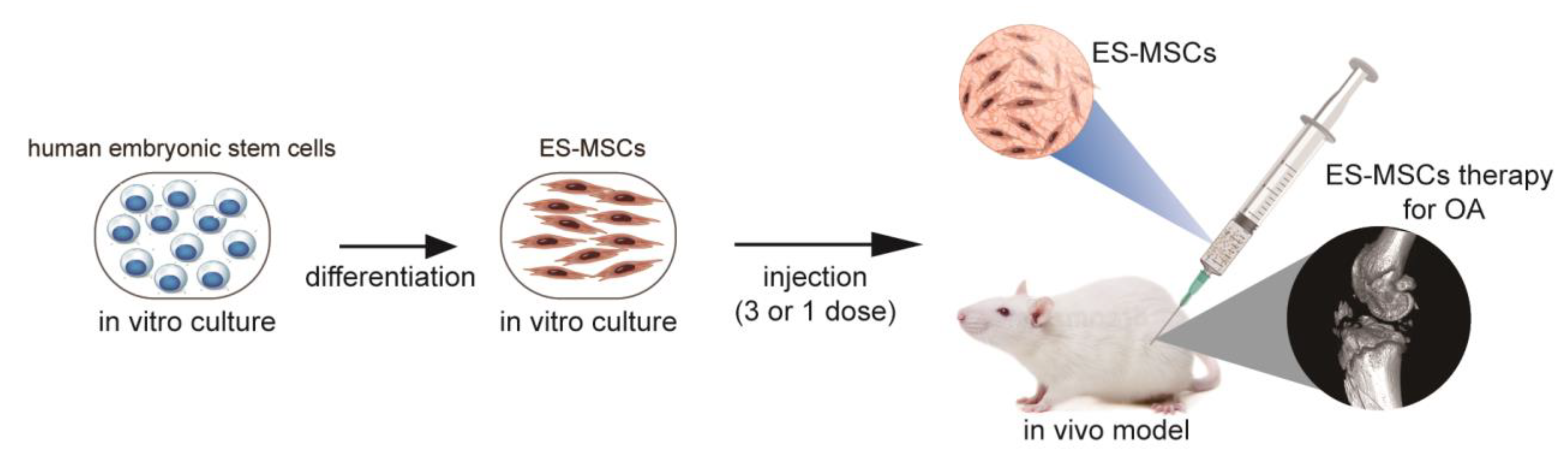 Molecules 26 00604 g005