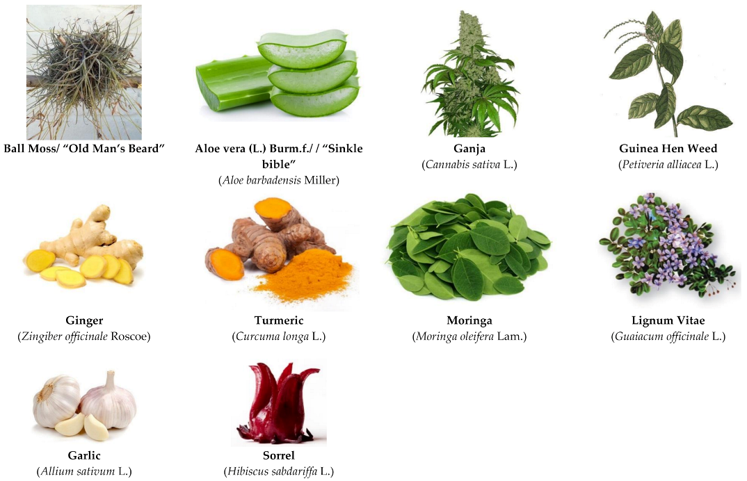 natural antiviral remedies