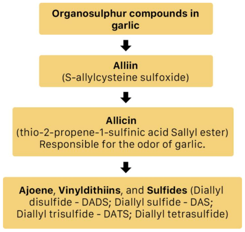 Molecules 26 00607 g014 Molecules 26 00607 g014