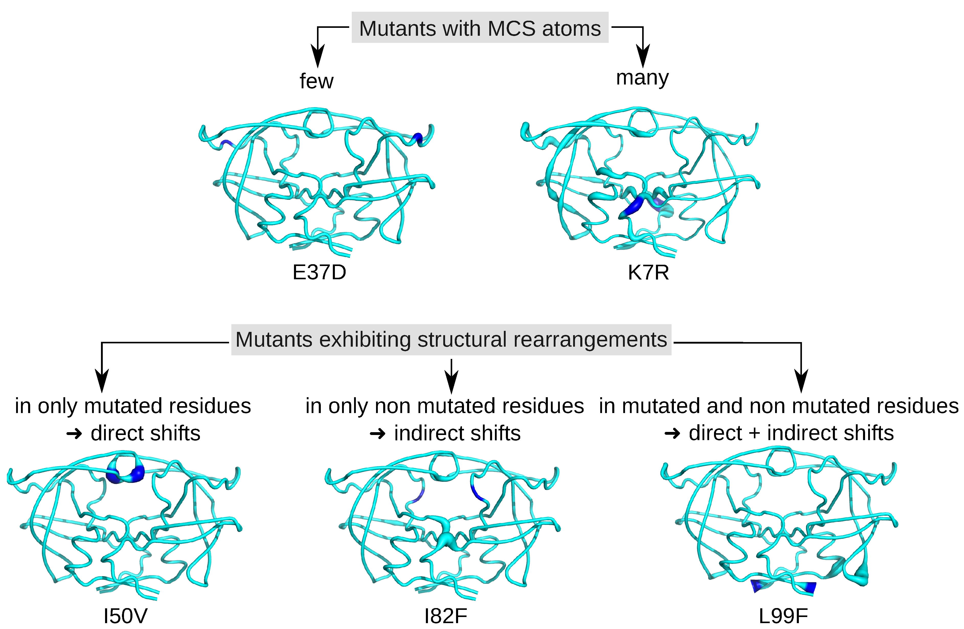 Molecules 26 00611 g004 Molecules 26 00611 g004
