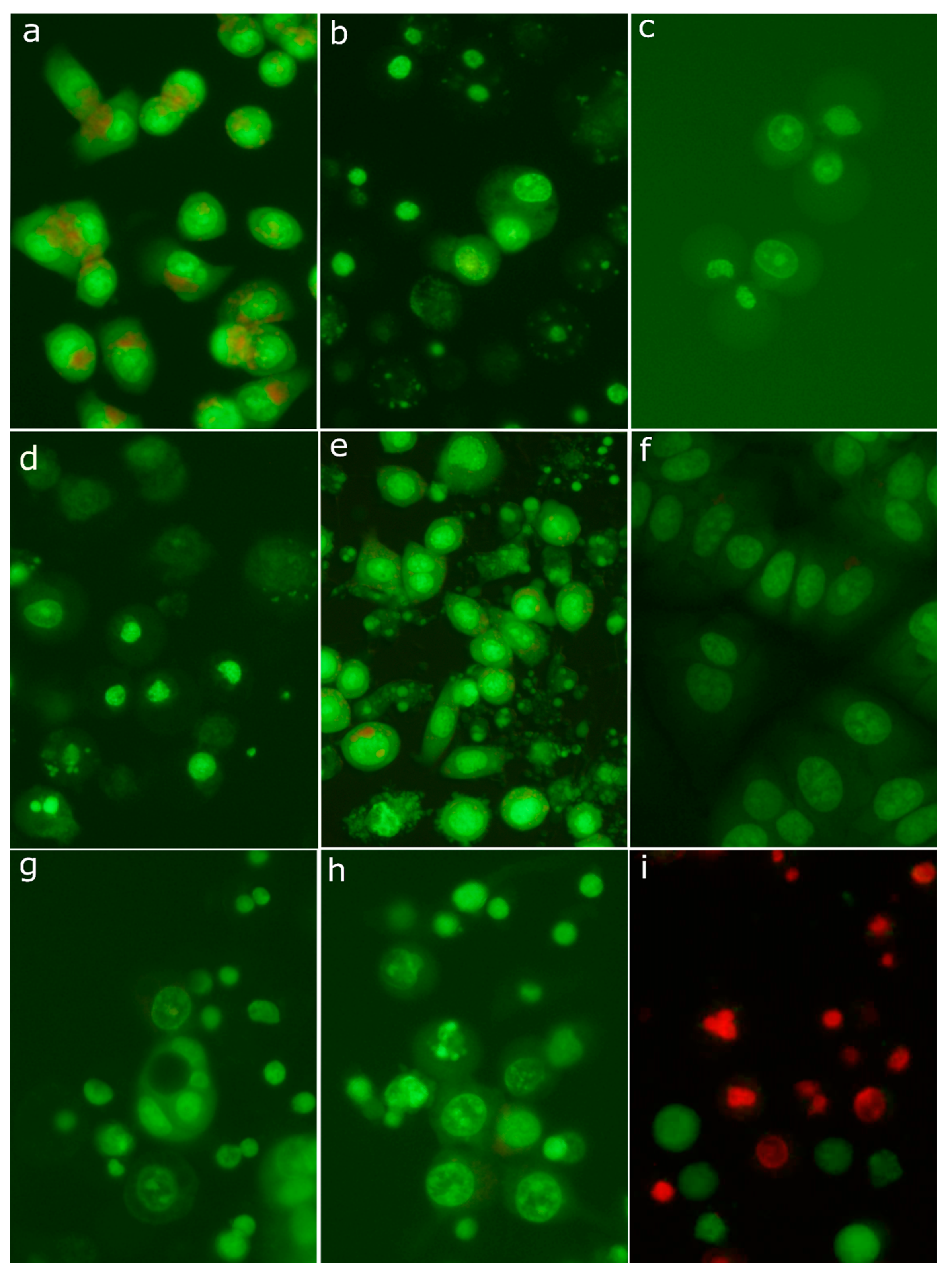 Molecules 26 00615 g008 Molecules 26 00615 g008