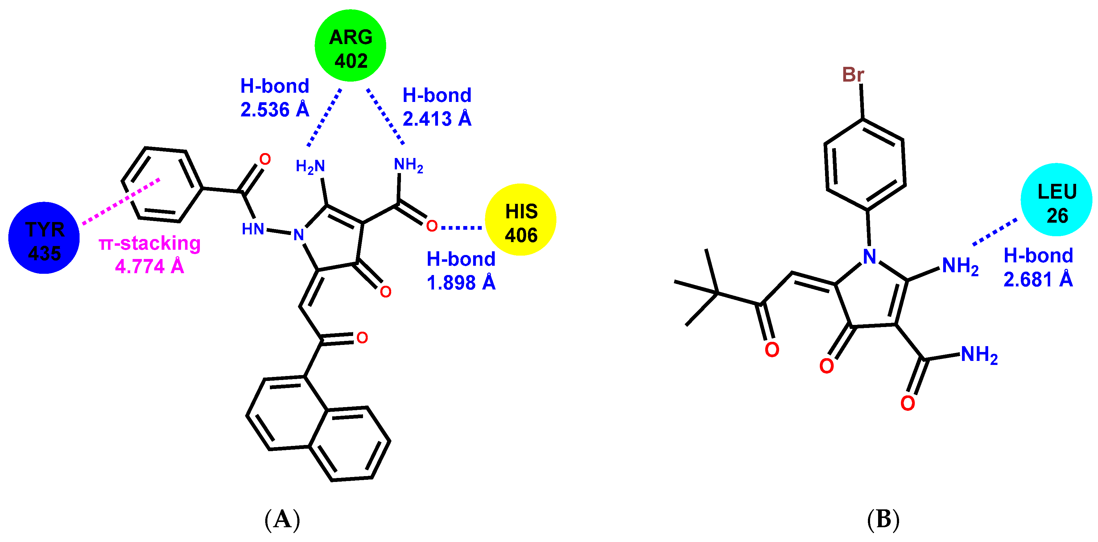 Molecules Free Full Text 2 Apcas The Novel Microtubule Targeting Agents Active Against Distinct Cancer Cell Lines Html Molecules Free Full Text 2 Apcas The Novel Microtubule Targeting Agents Active Against Distinct Cancer Cell Lines Html