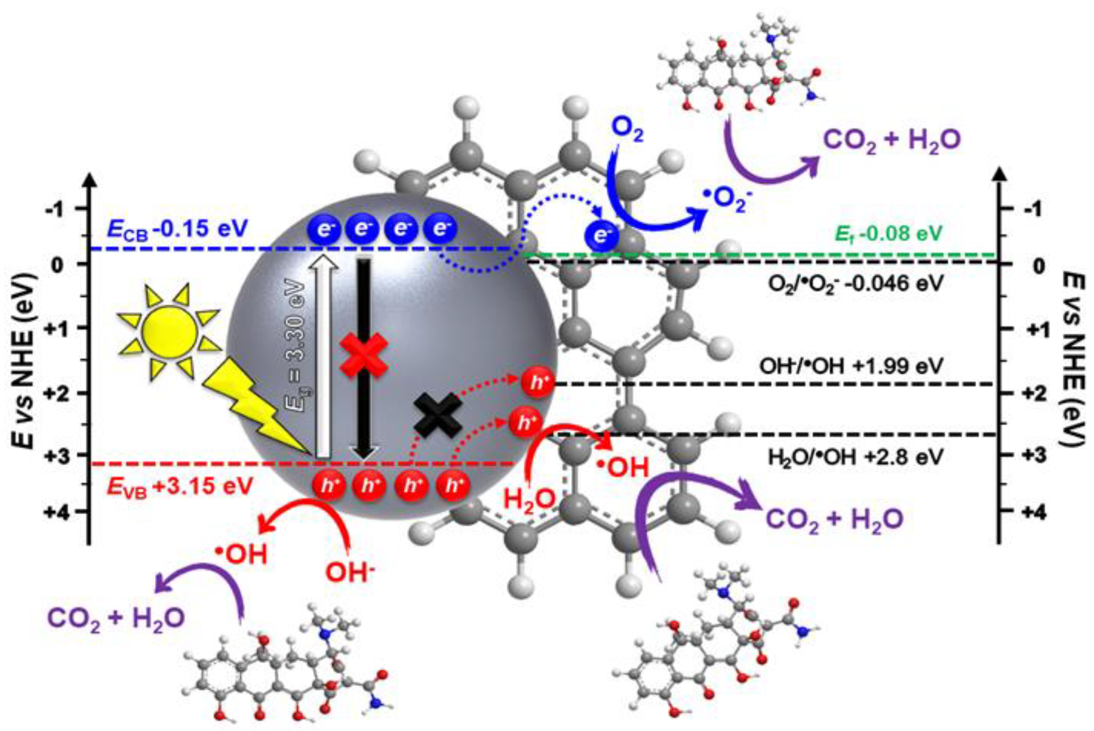 Molecules 26 00617 g013