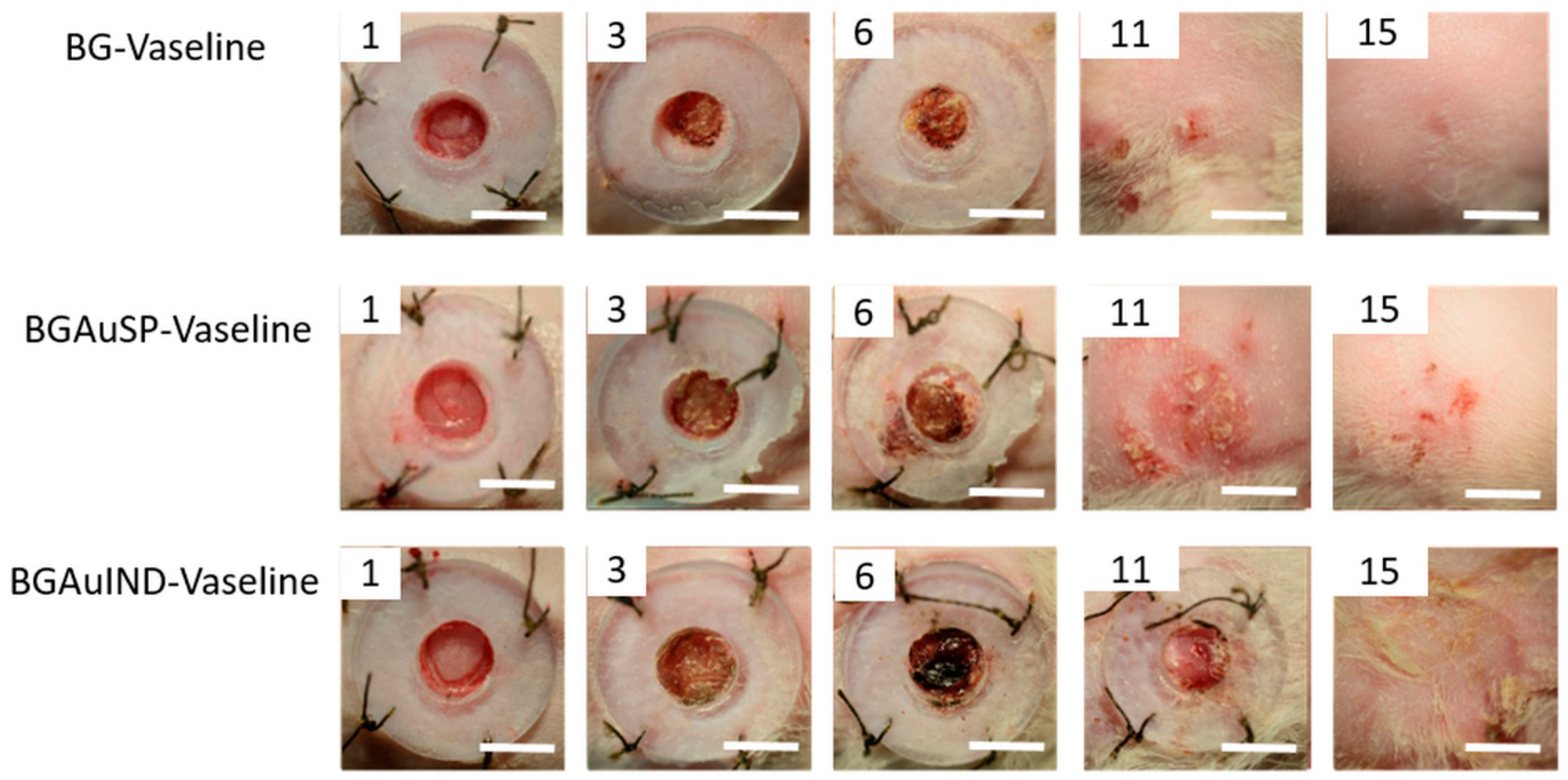 Molecules 26 00620 g006 Molecules 26 00620 g006