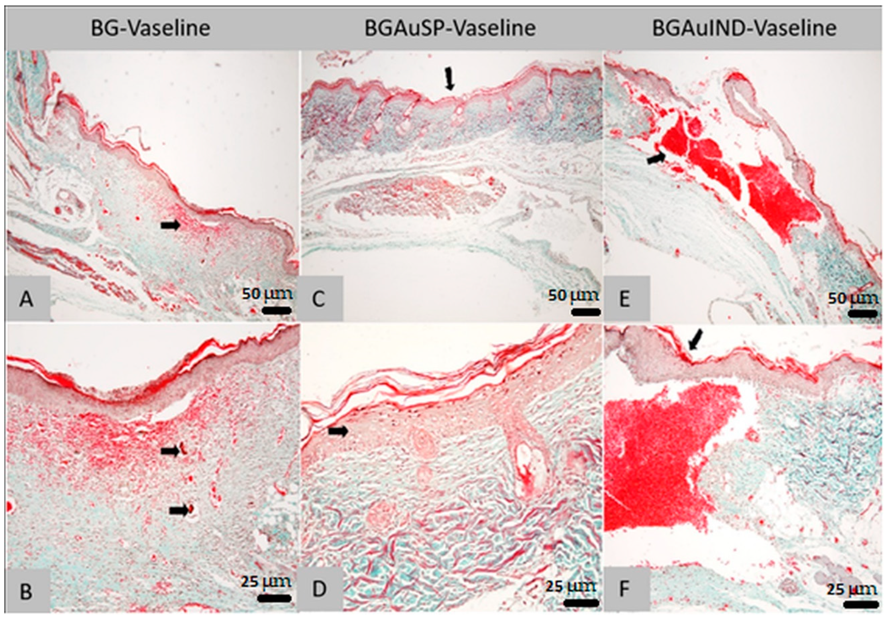 Molecules 26 00620 g009 Molecules 26 00620 g009