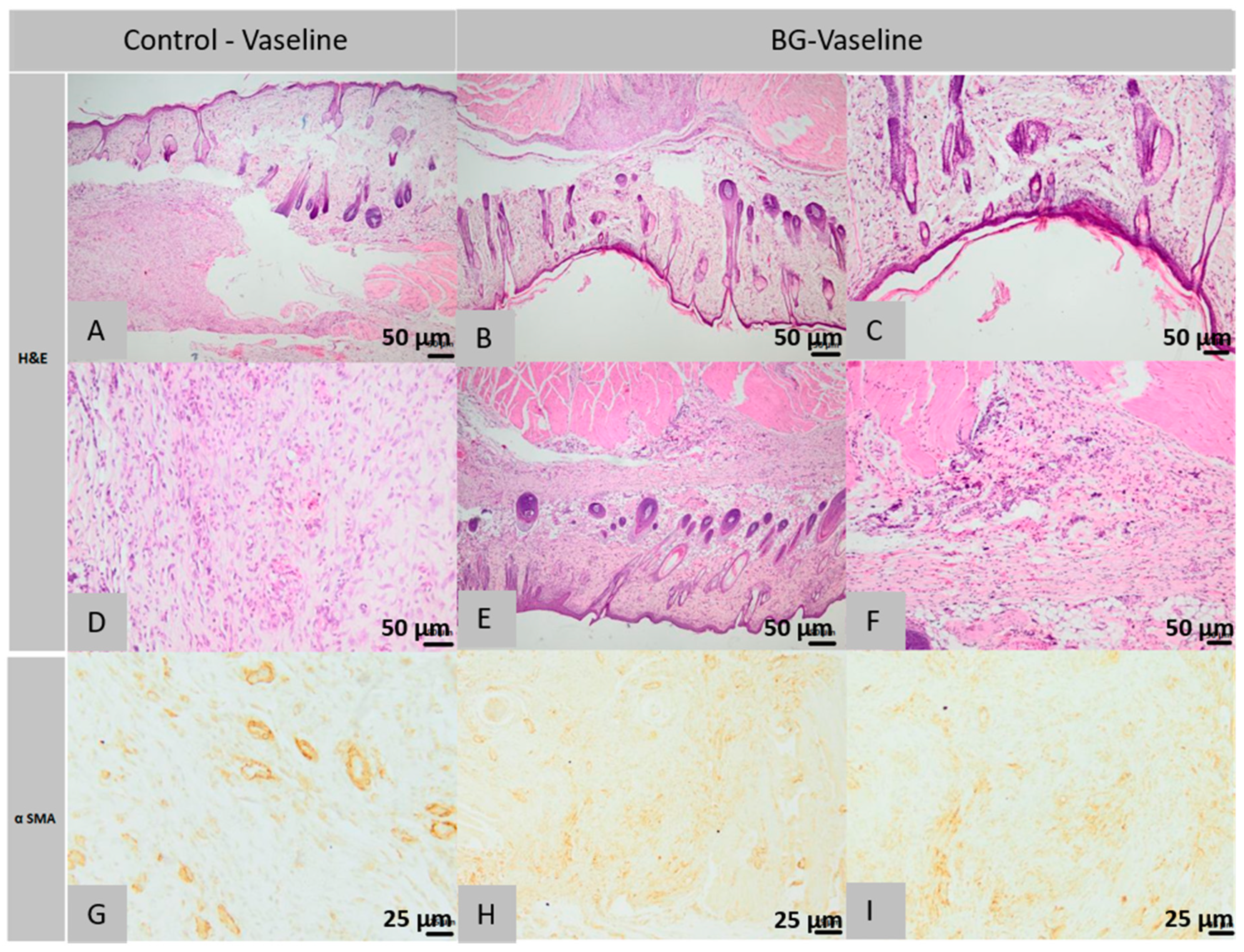Molecules 26 00620 g010 Molecules 26 00620 g010