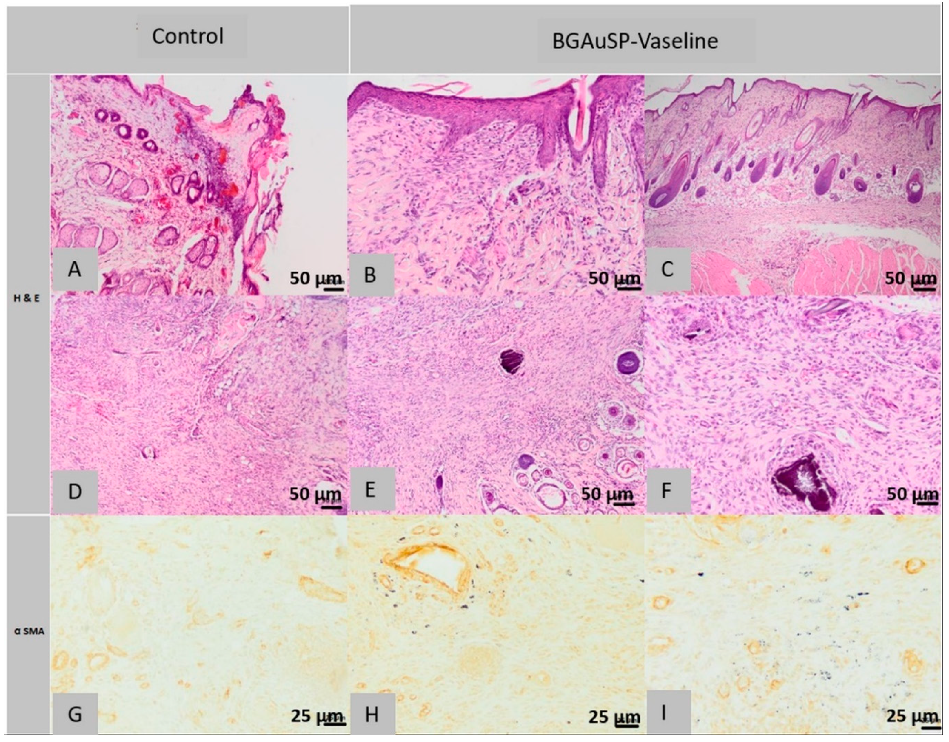 Molecules 26 00620 g011 Molecules 26 00620 g011