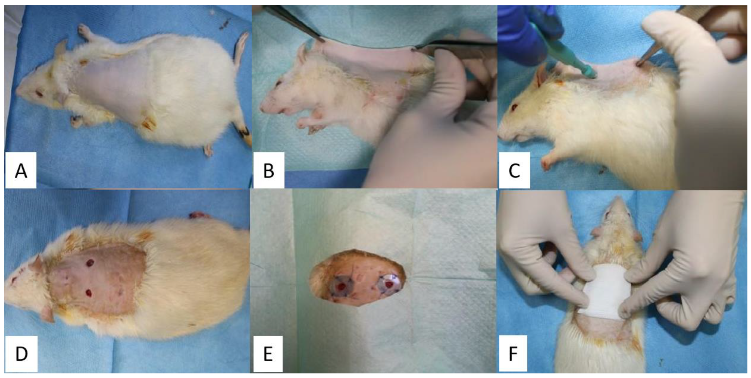 Molecules 26 00620 g013 Molecules 26 00620 g013