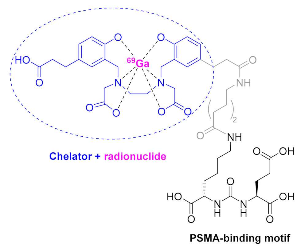 Molecules 26 00627 g006
