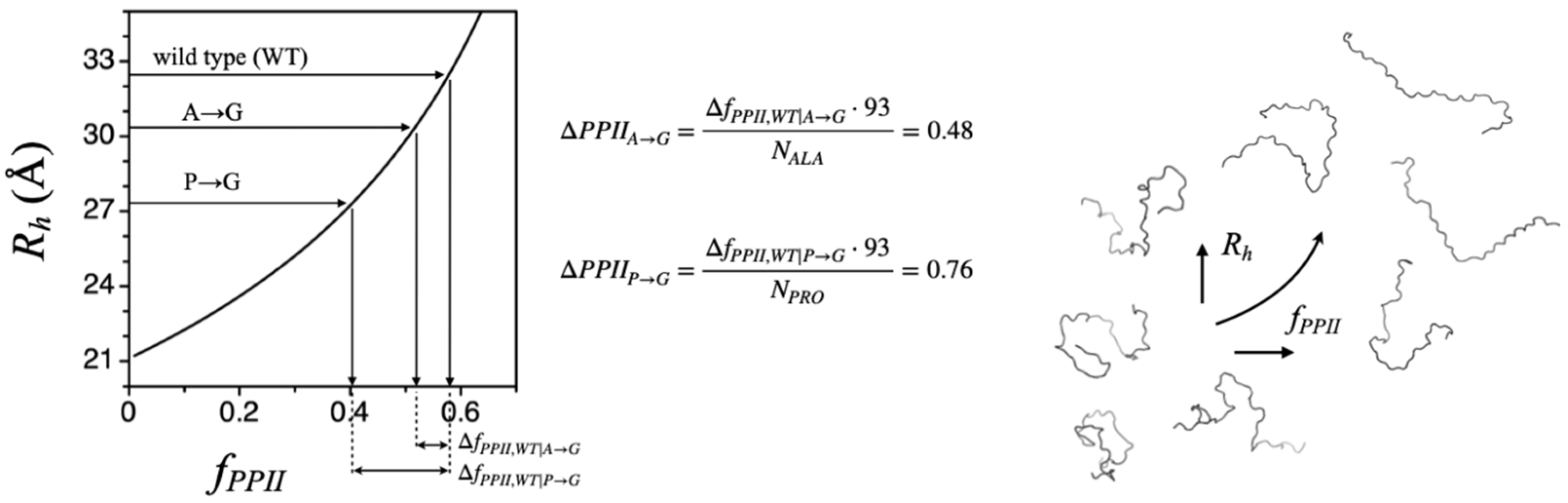 Molecules 26 00634 g004