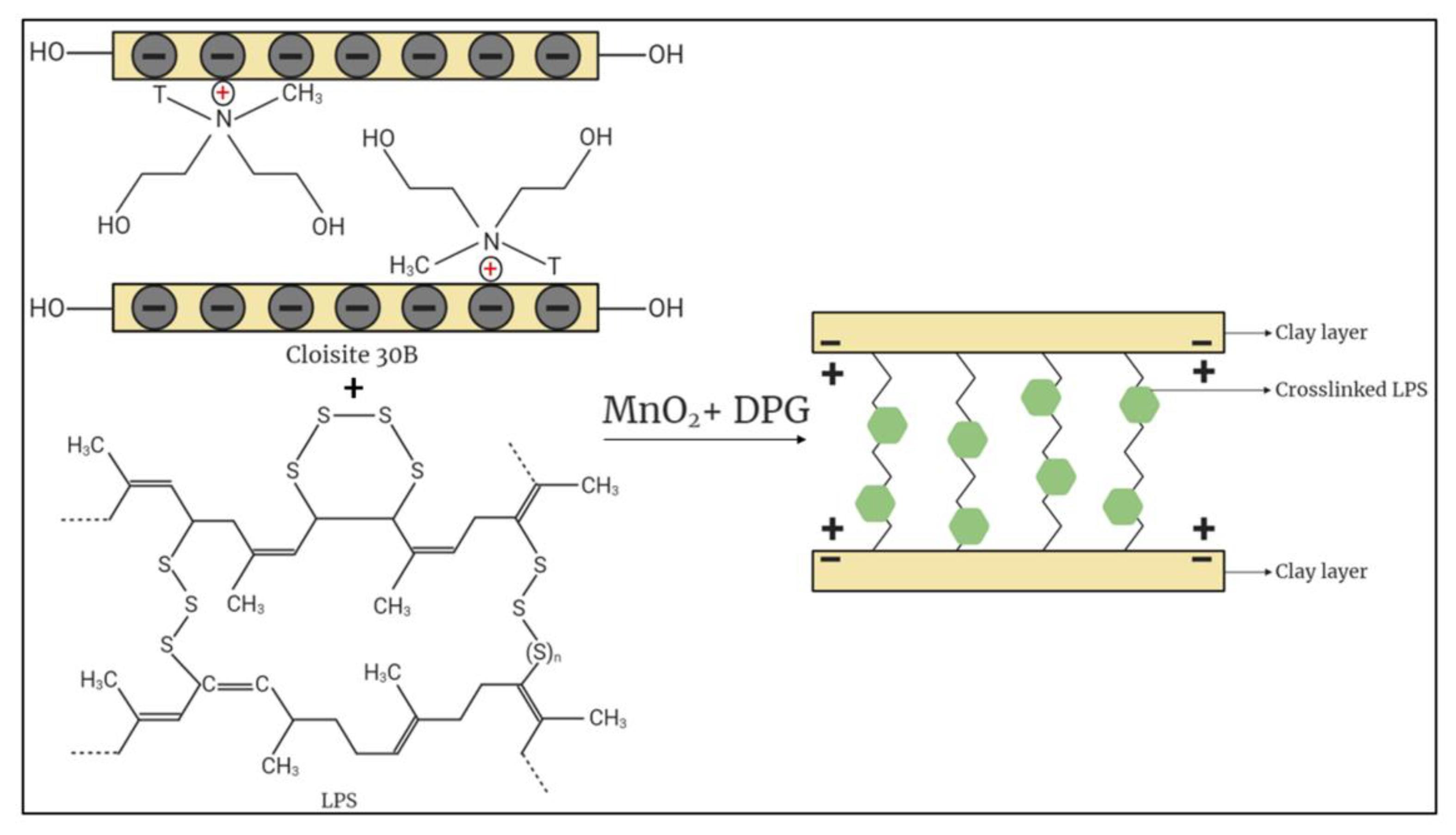 Molecules 26 00635 g001 Molecules 26 00635 g001