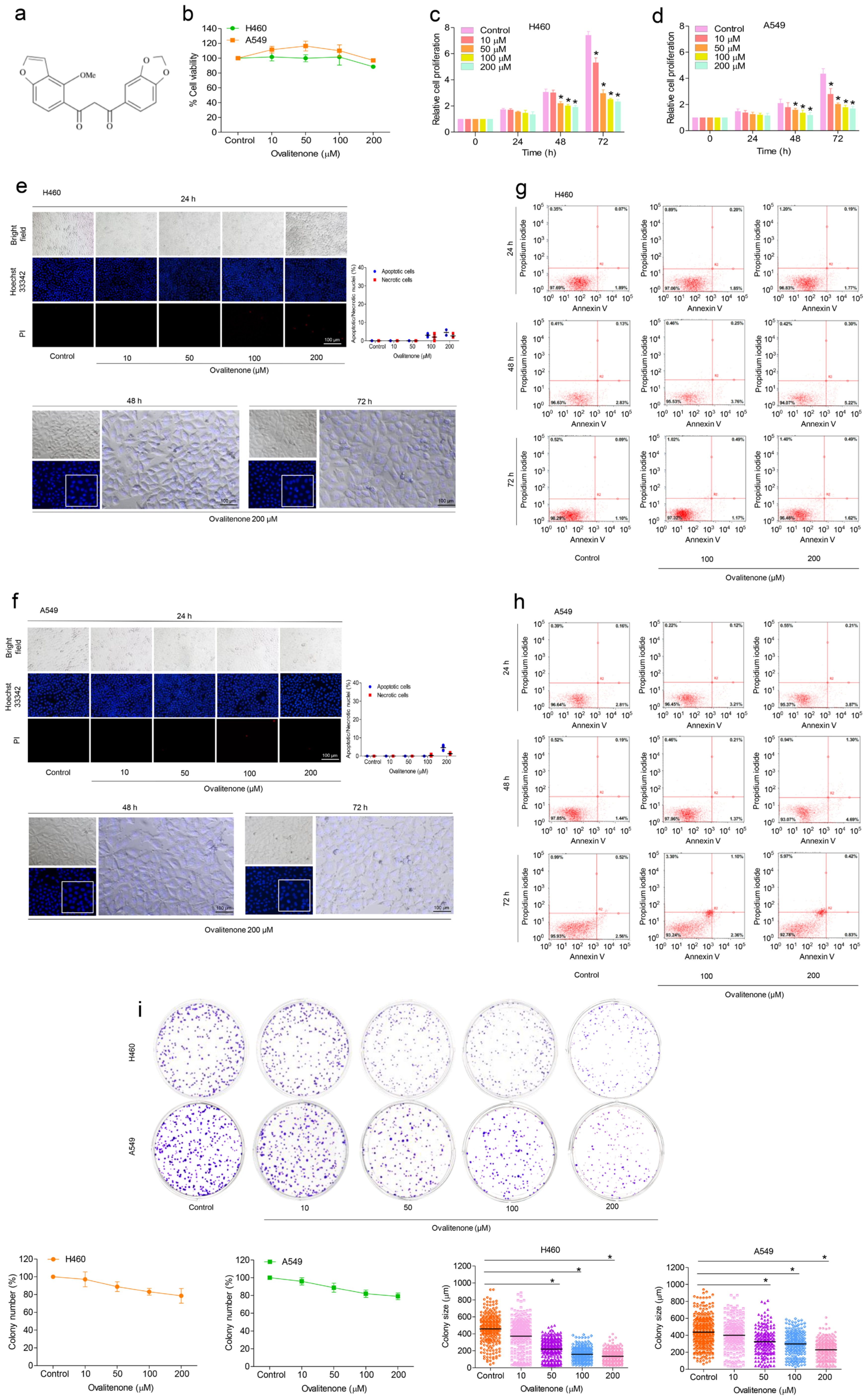 Molecules 26 00638 g001