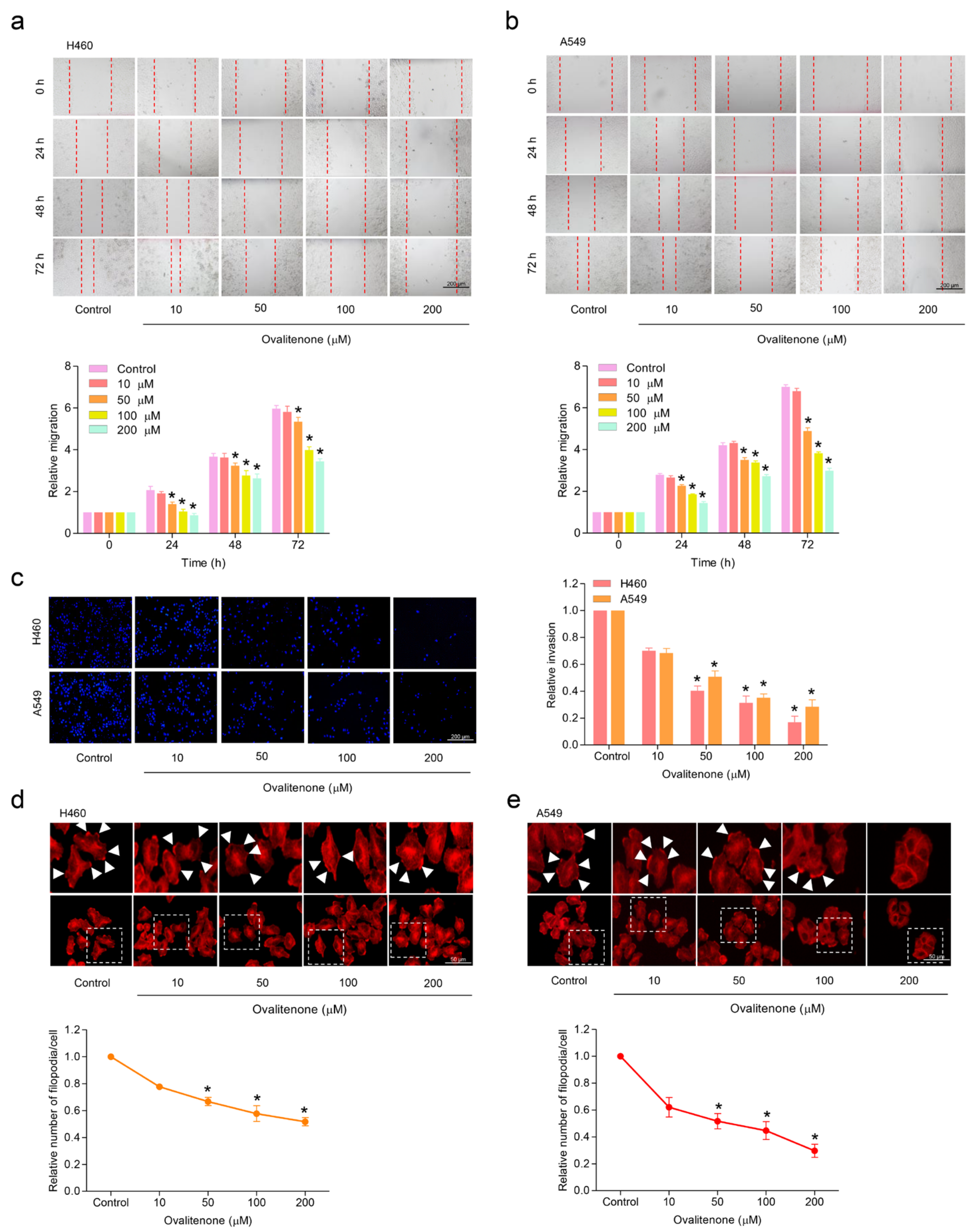 Molecules 26 00638 g002