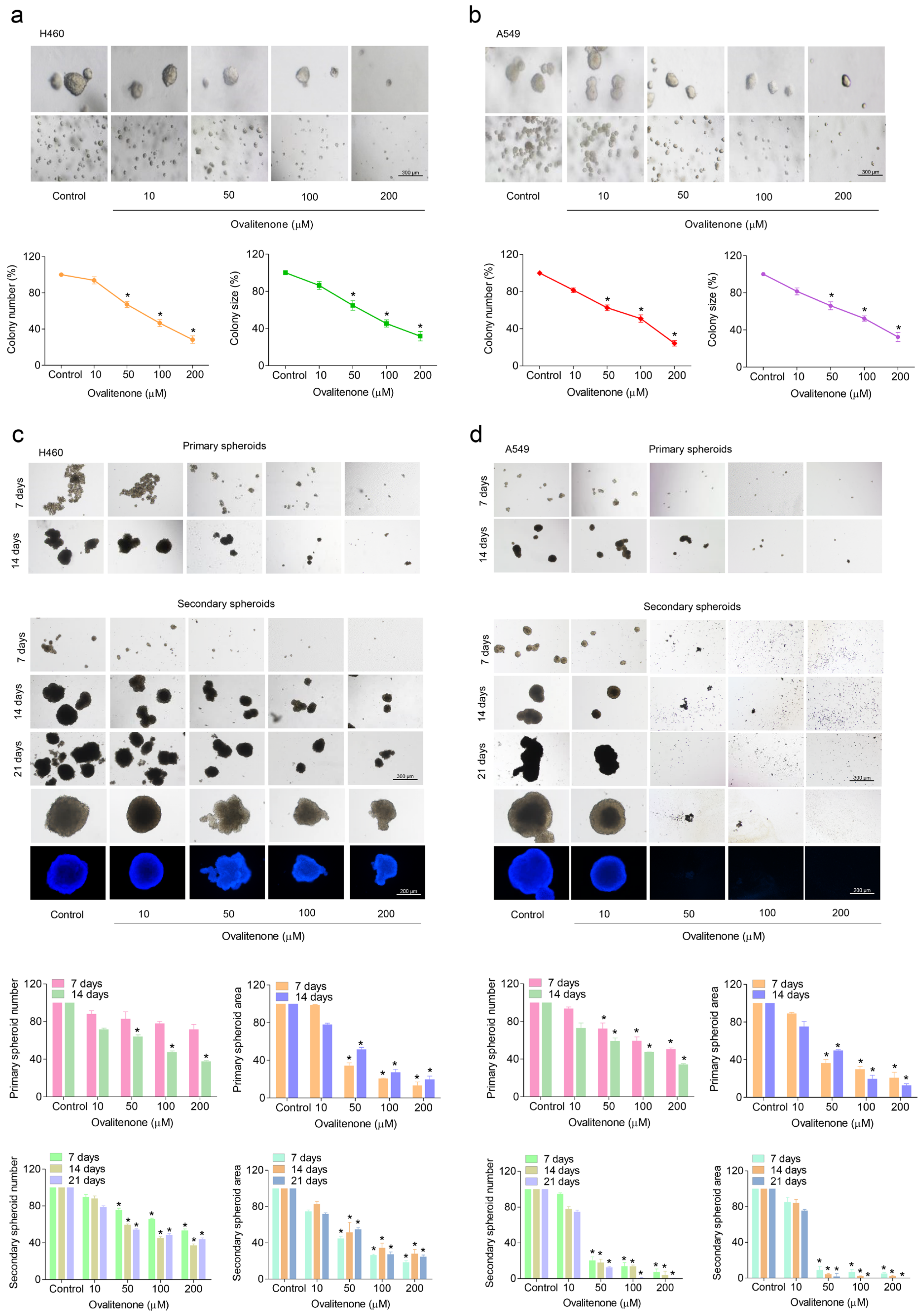 Molecules 26 00638 g003