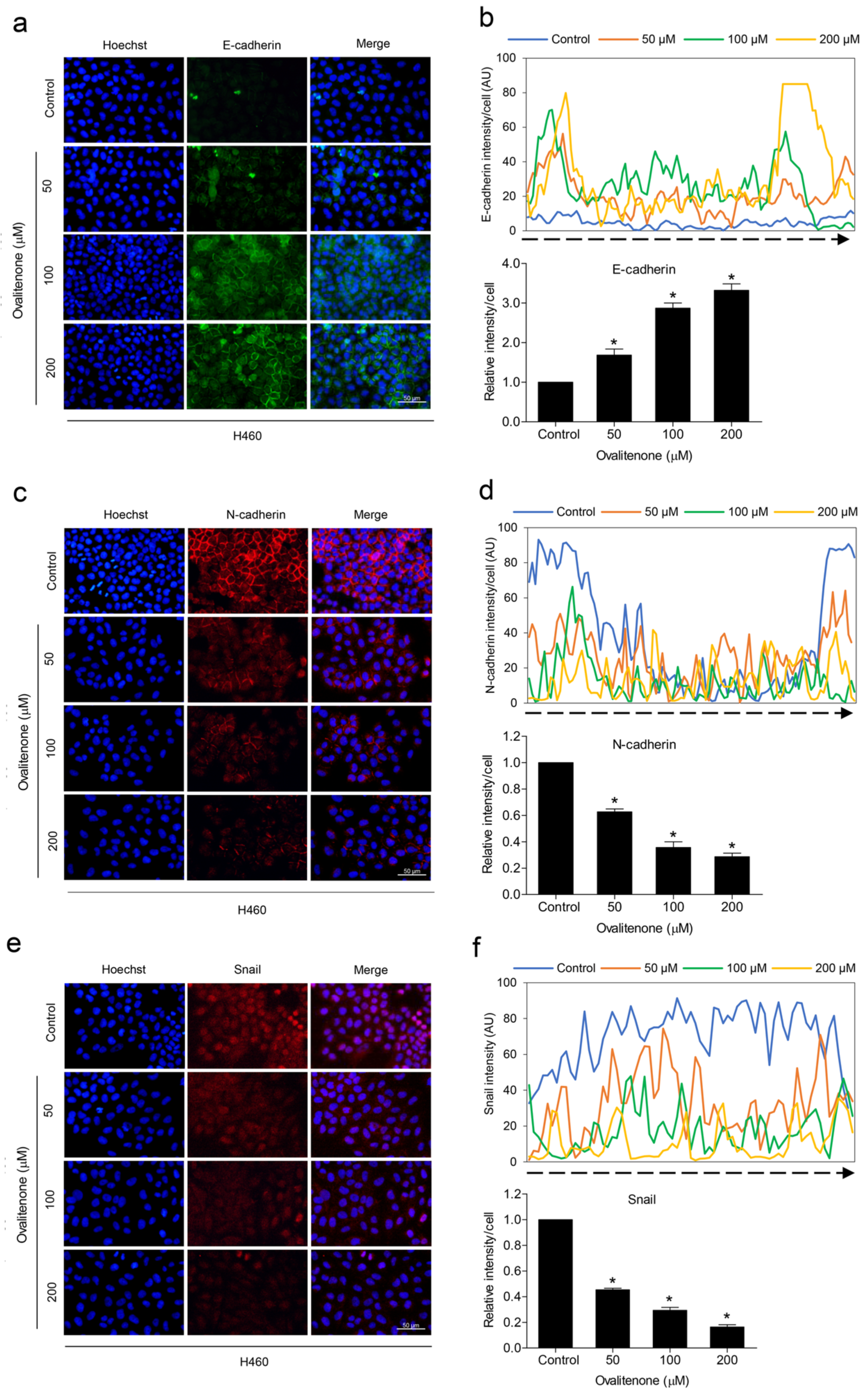 Molecules 26 00638 g005