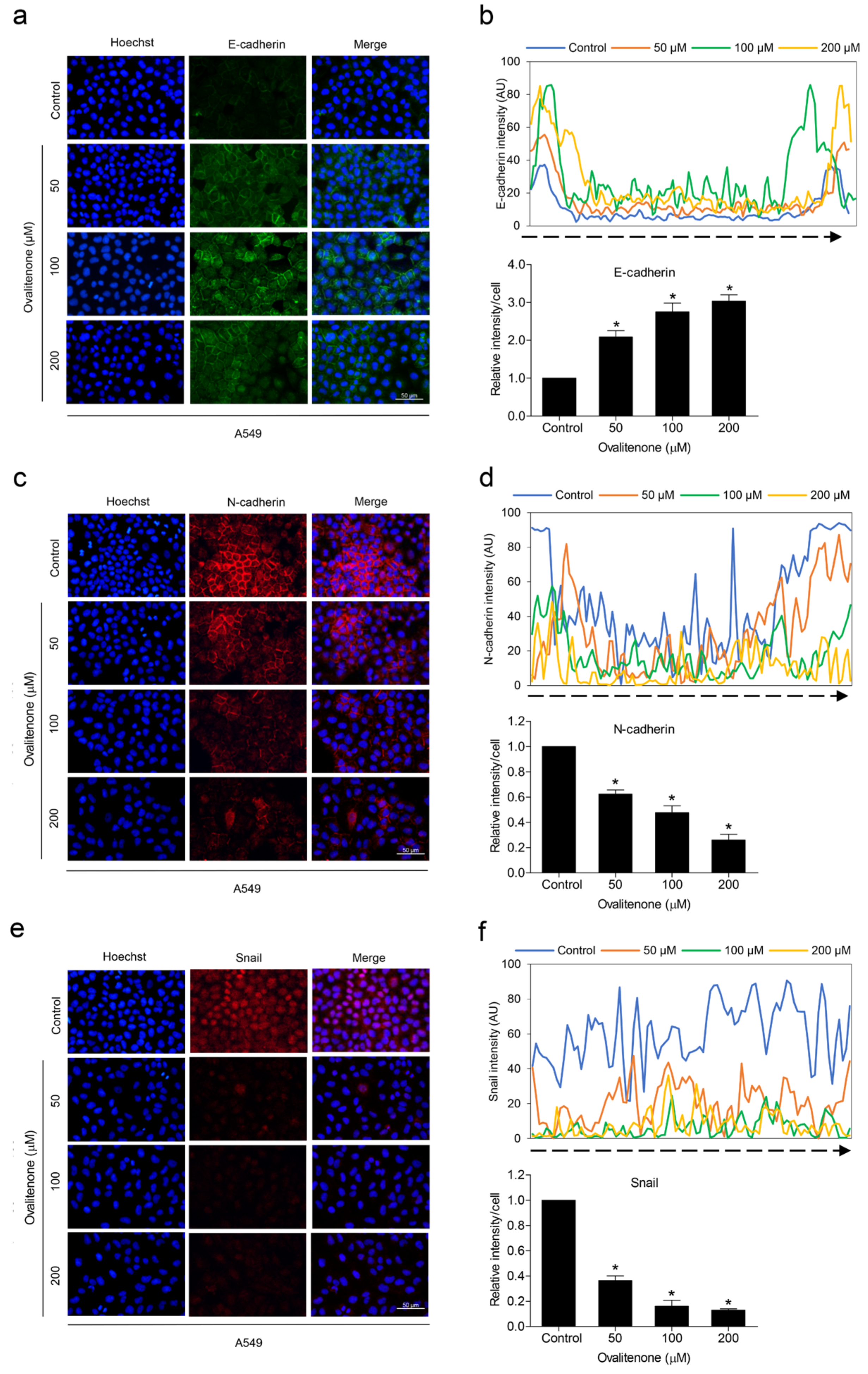 Molecules 26 00638 g006