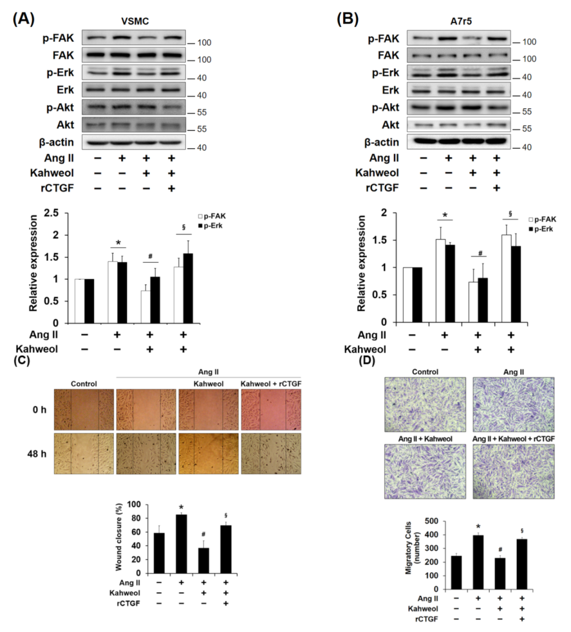 Molecules 26 00640 g003