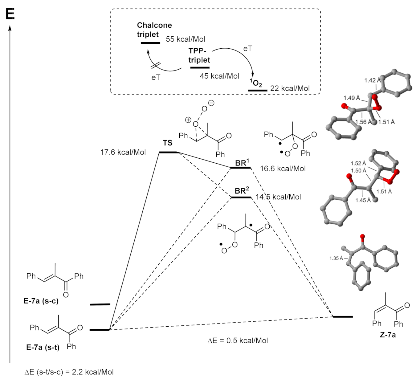 Molecules 26 00642 g003 Molecules 26 00642 g003