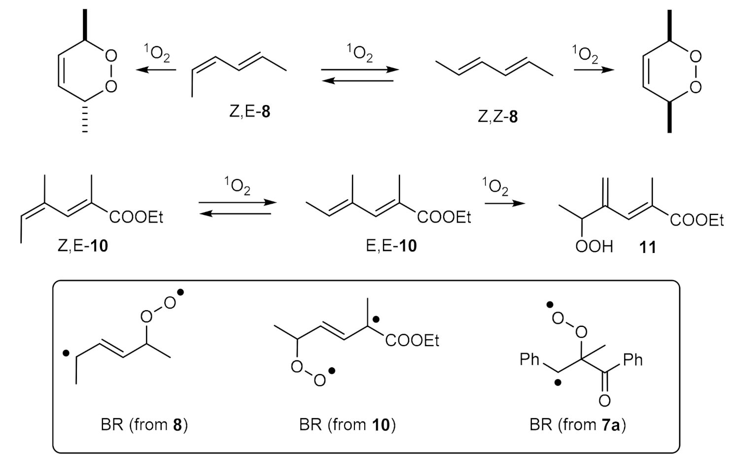 Molecules 26 00642 sch006 Molecules 26 00642 sch006