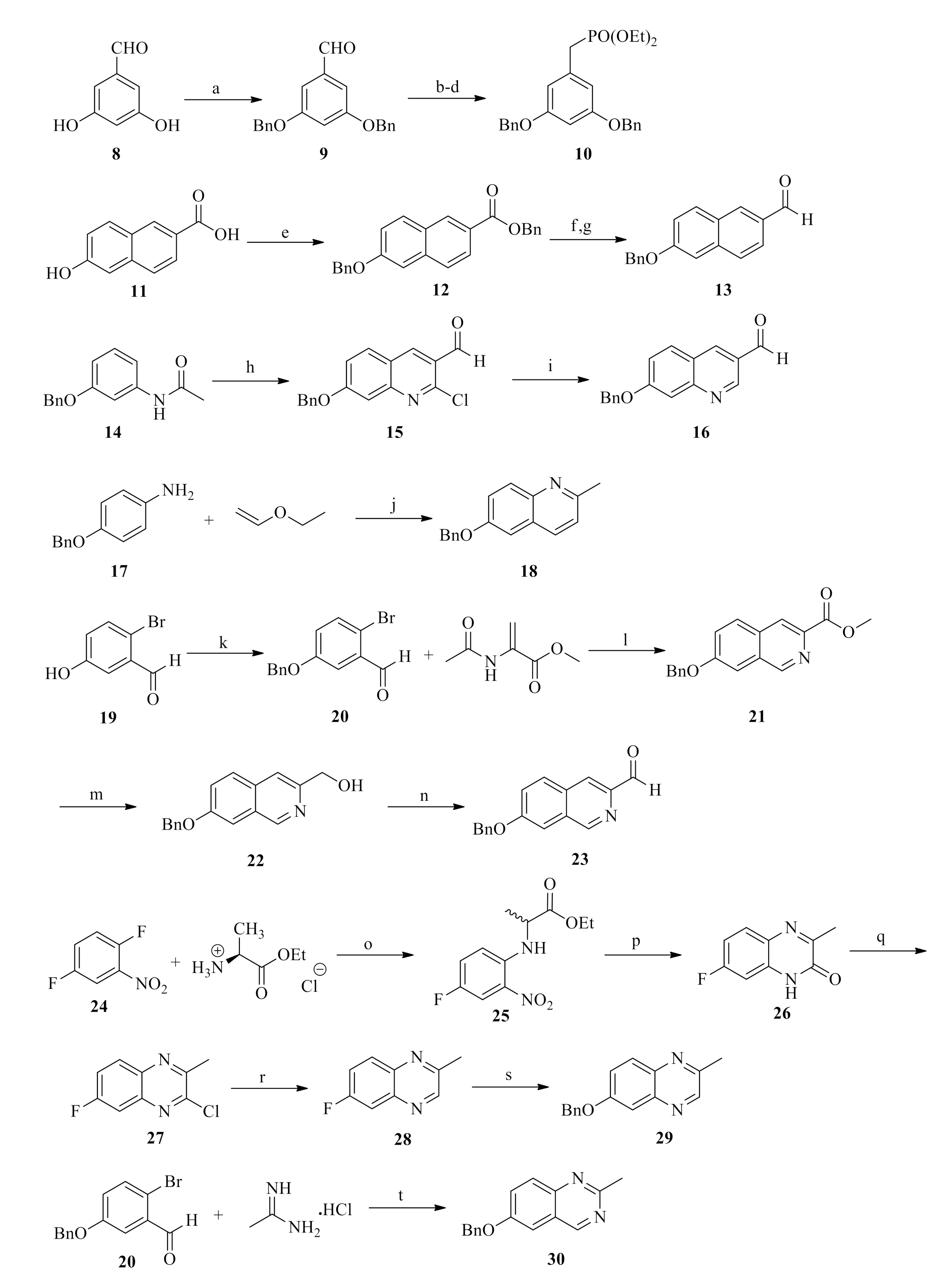 Molecules 26 00646 sch001