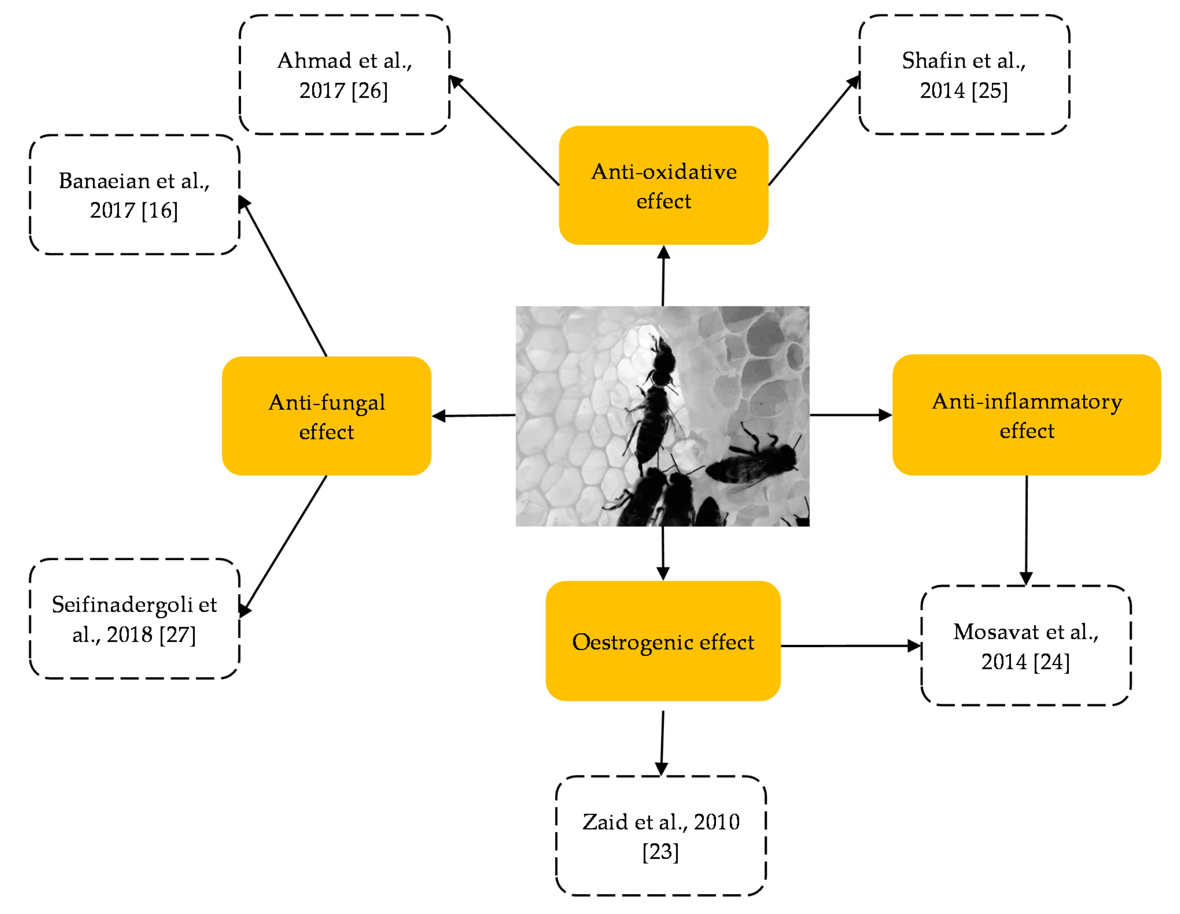 Molecules 26 00649 g002