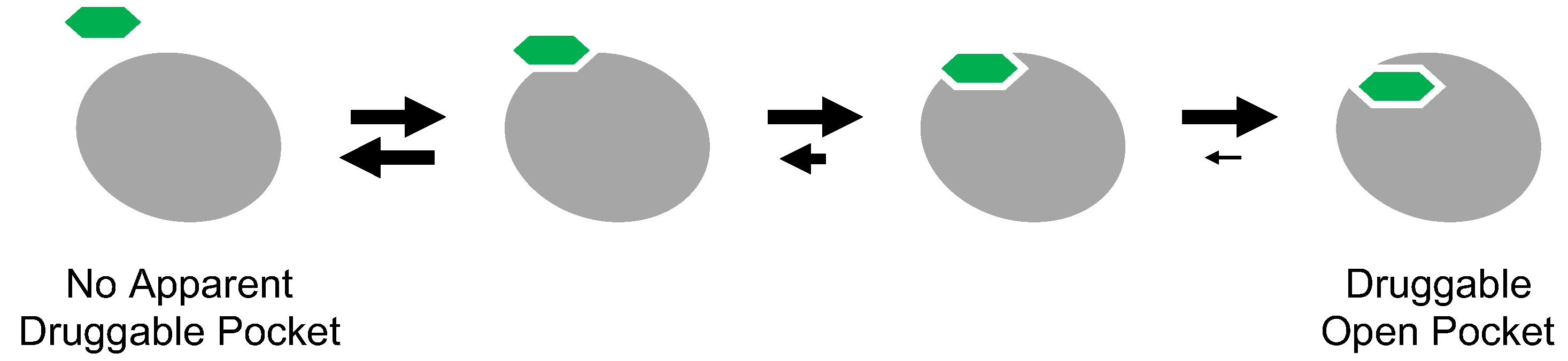 Molecules 26 00651 g007
