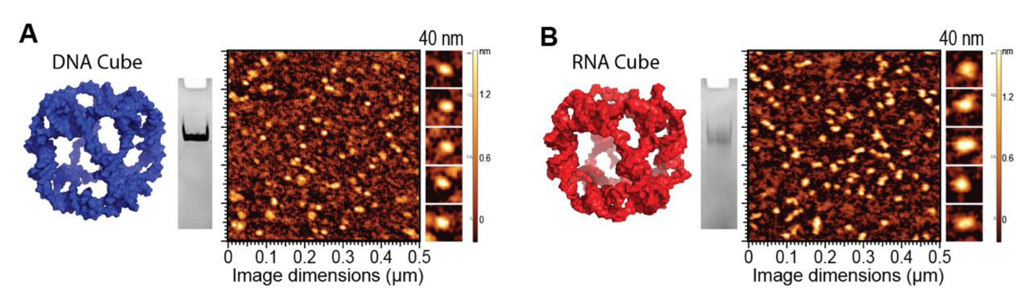 Molecules 26 00652 g002 Molecules 26 00652 g002