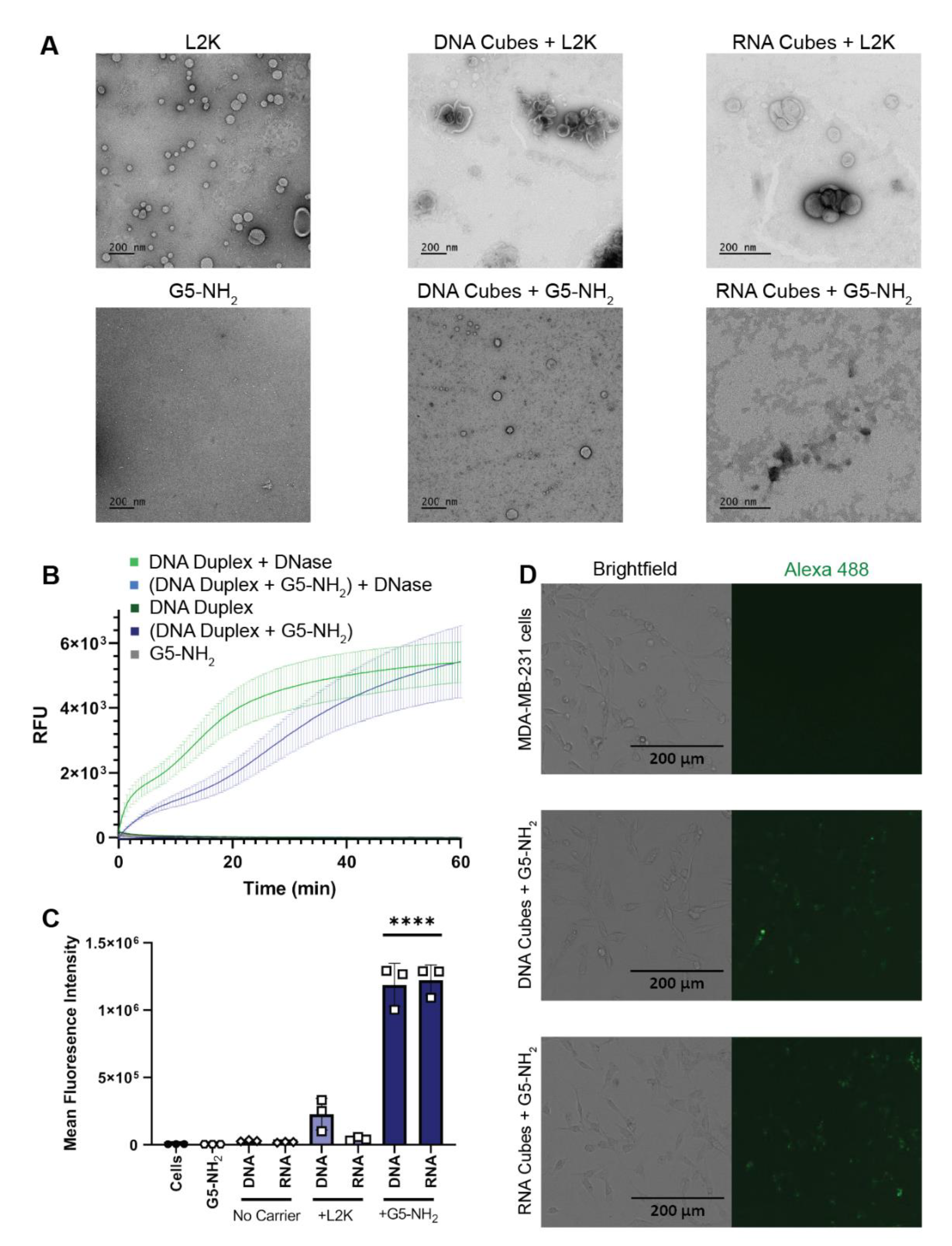 Molecules 26 00652 g003 Molecules 26 00652 g003